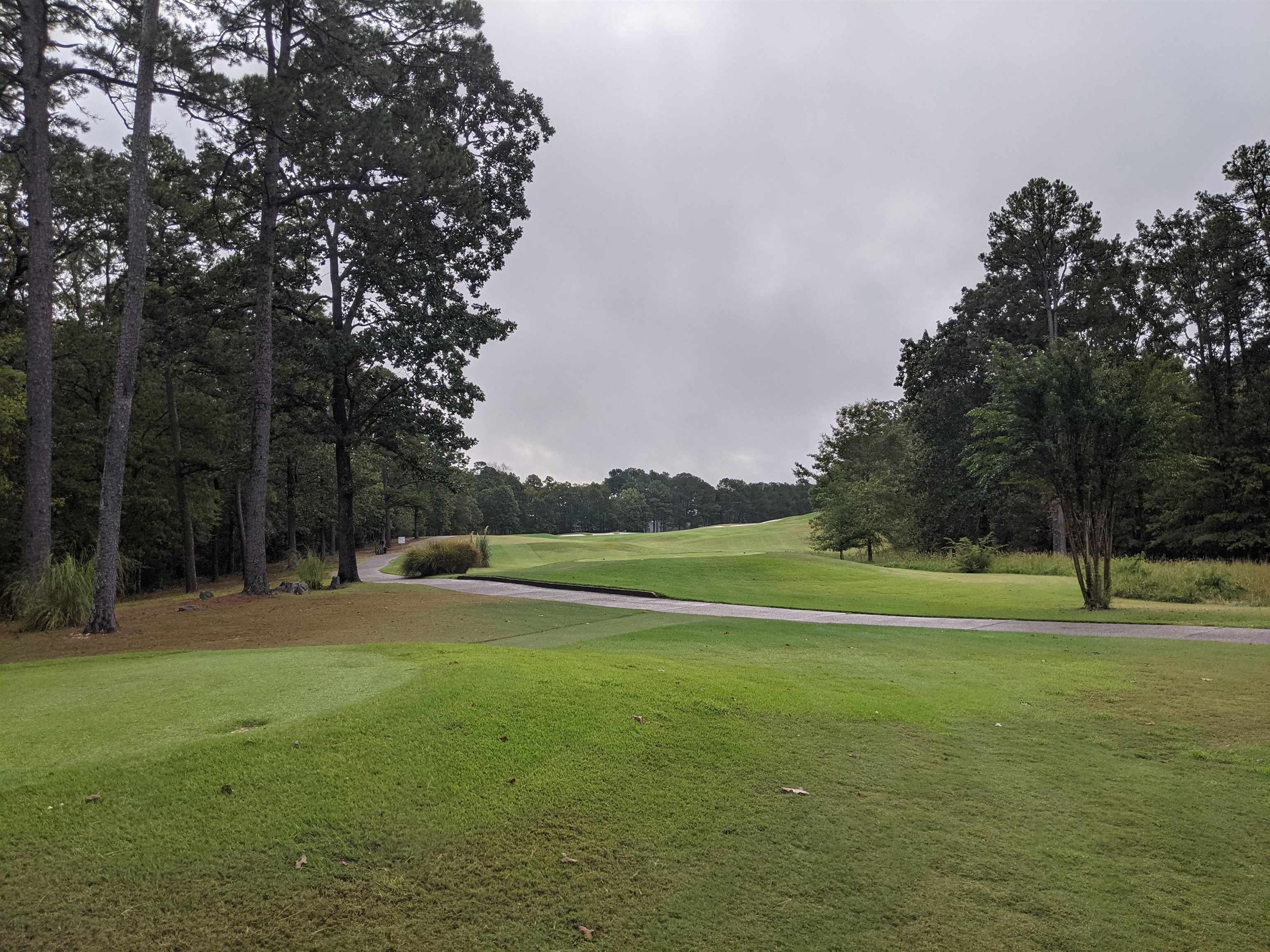 38  Loyola  Hot Springs Village, AR
