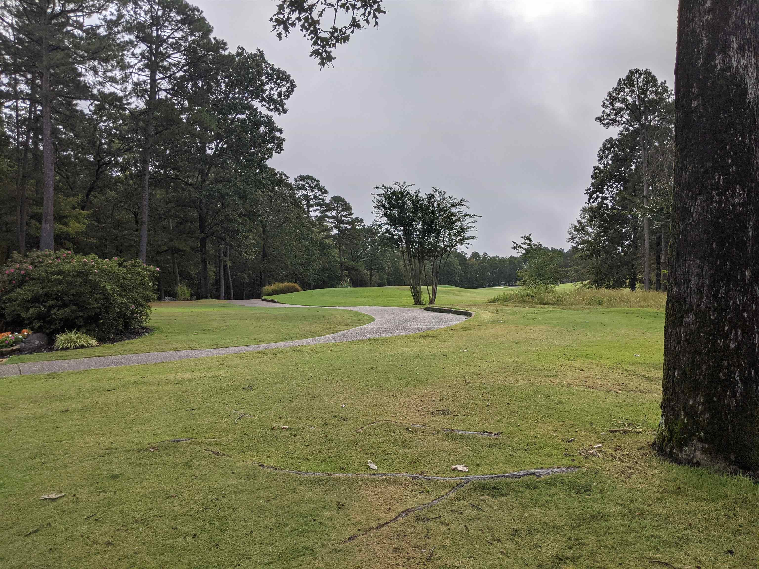 38  Loyola  Hot Springs Village, AR