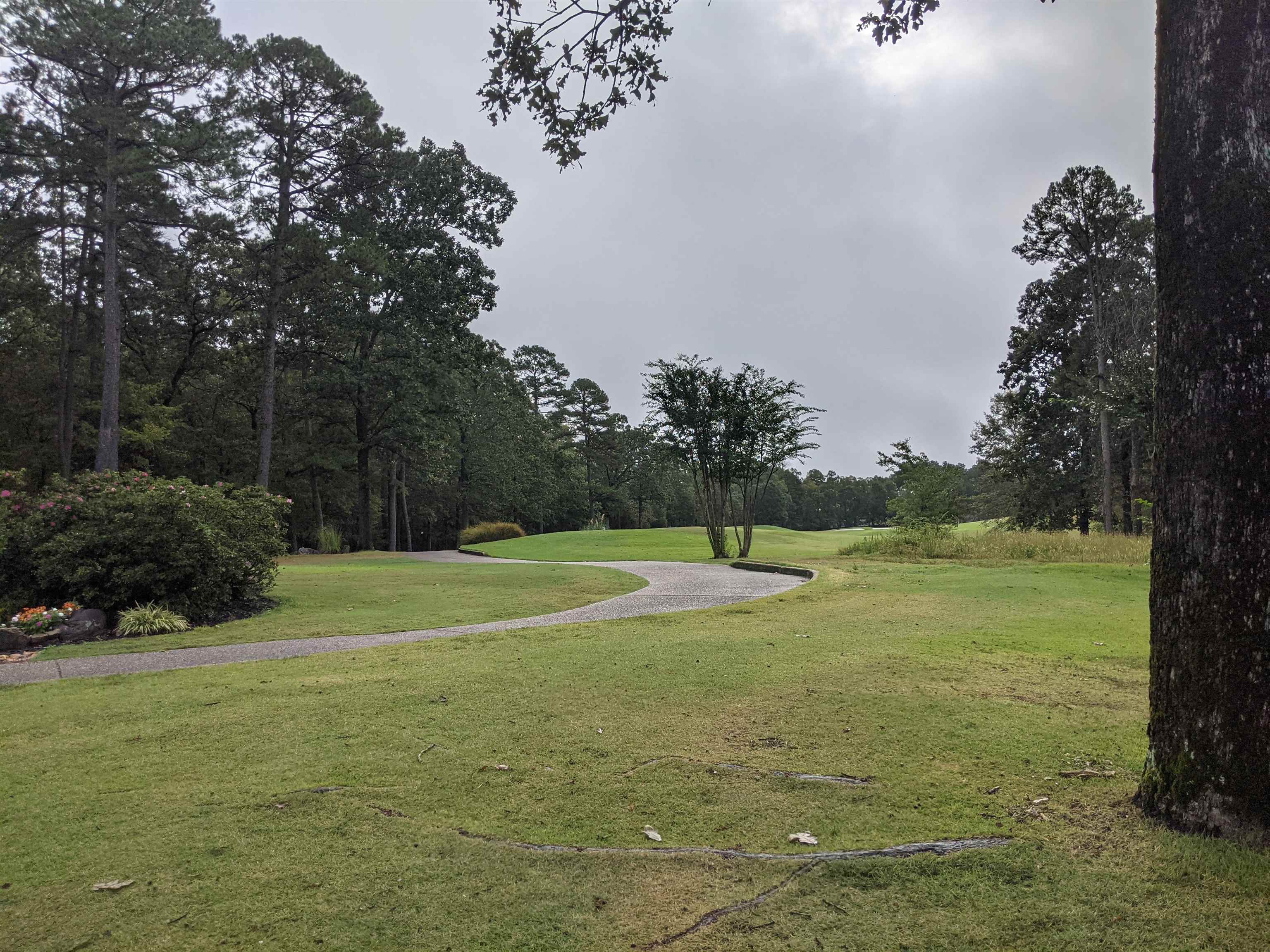 38  Loyola  Hot Springs Village, AR