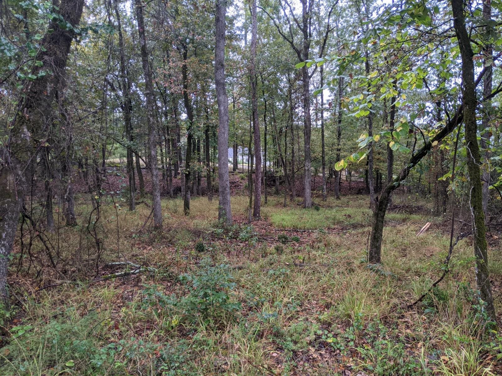 38  Loyola  Hot Springs Village, AR
