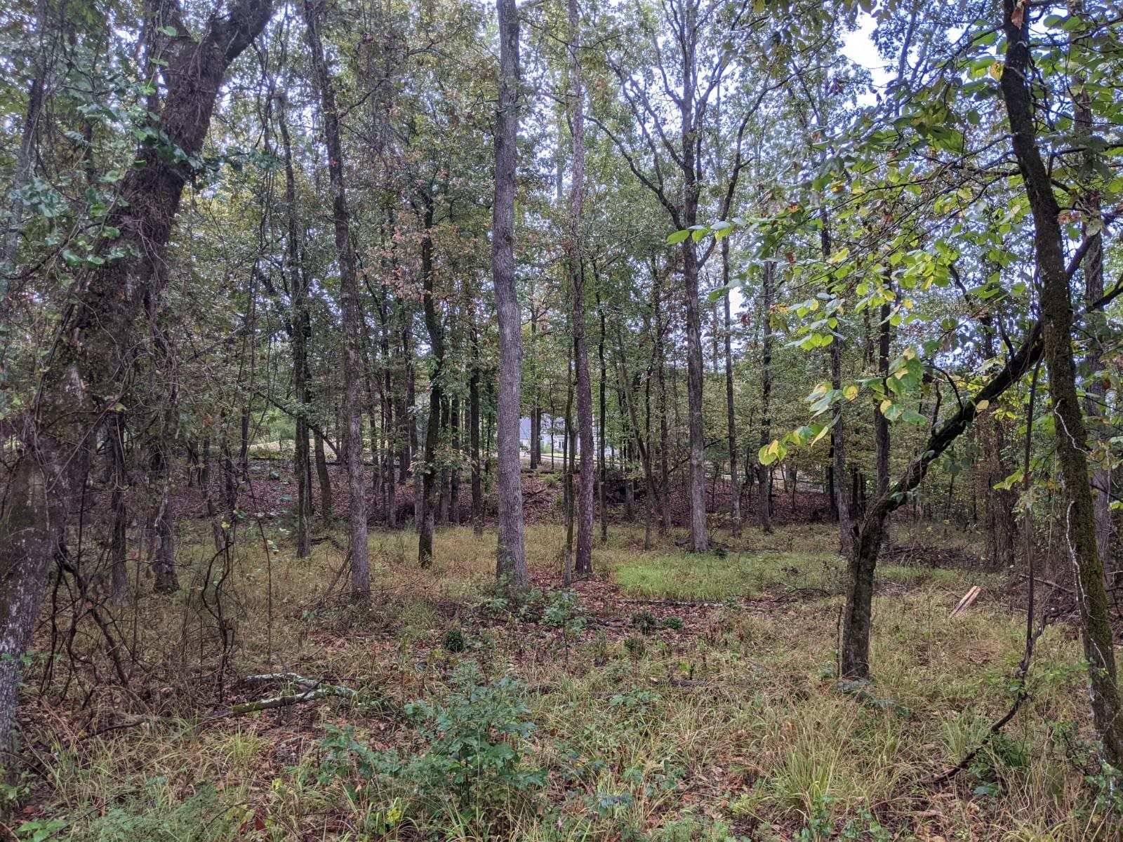 38  Loyola  Hot Springs Village, AR