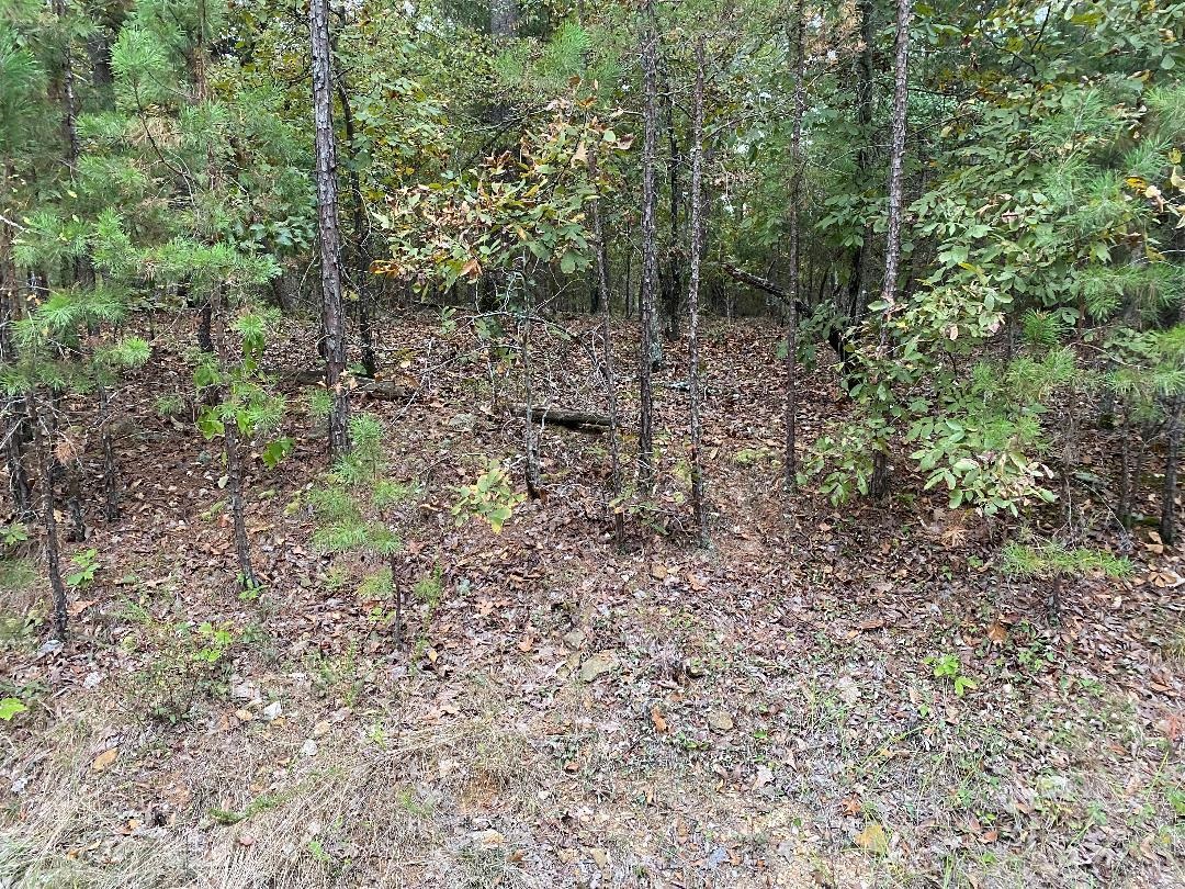 6  Princesa Lane  Hot Springs Village, AR
