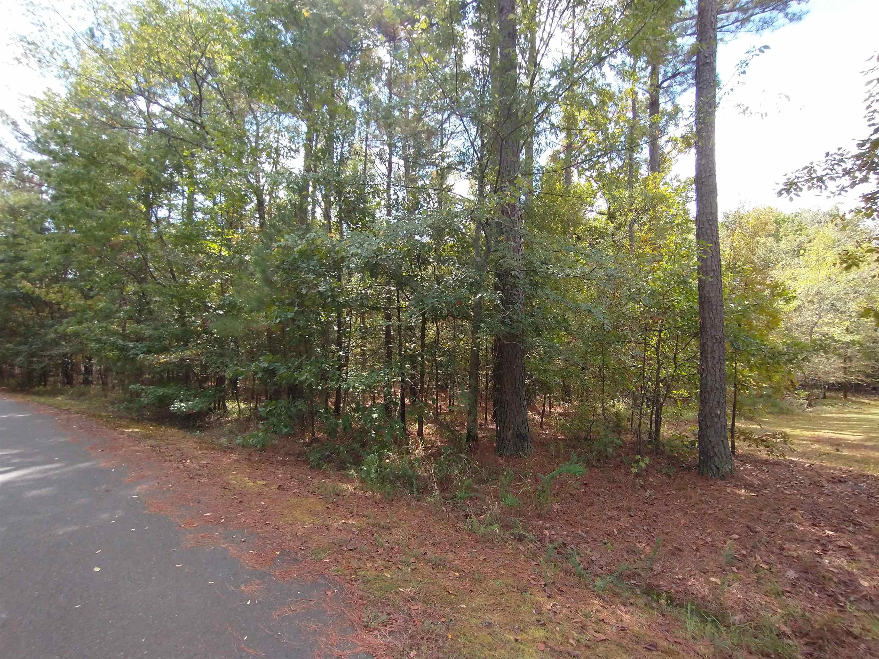 1  Alhaja  Hot Springs Village, AR