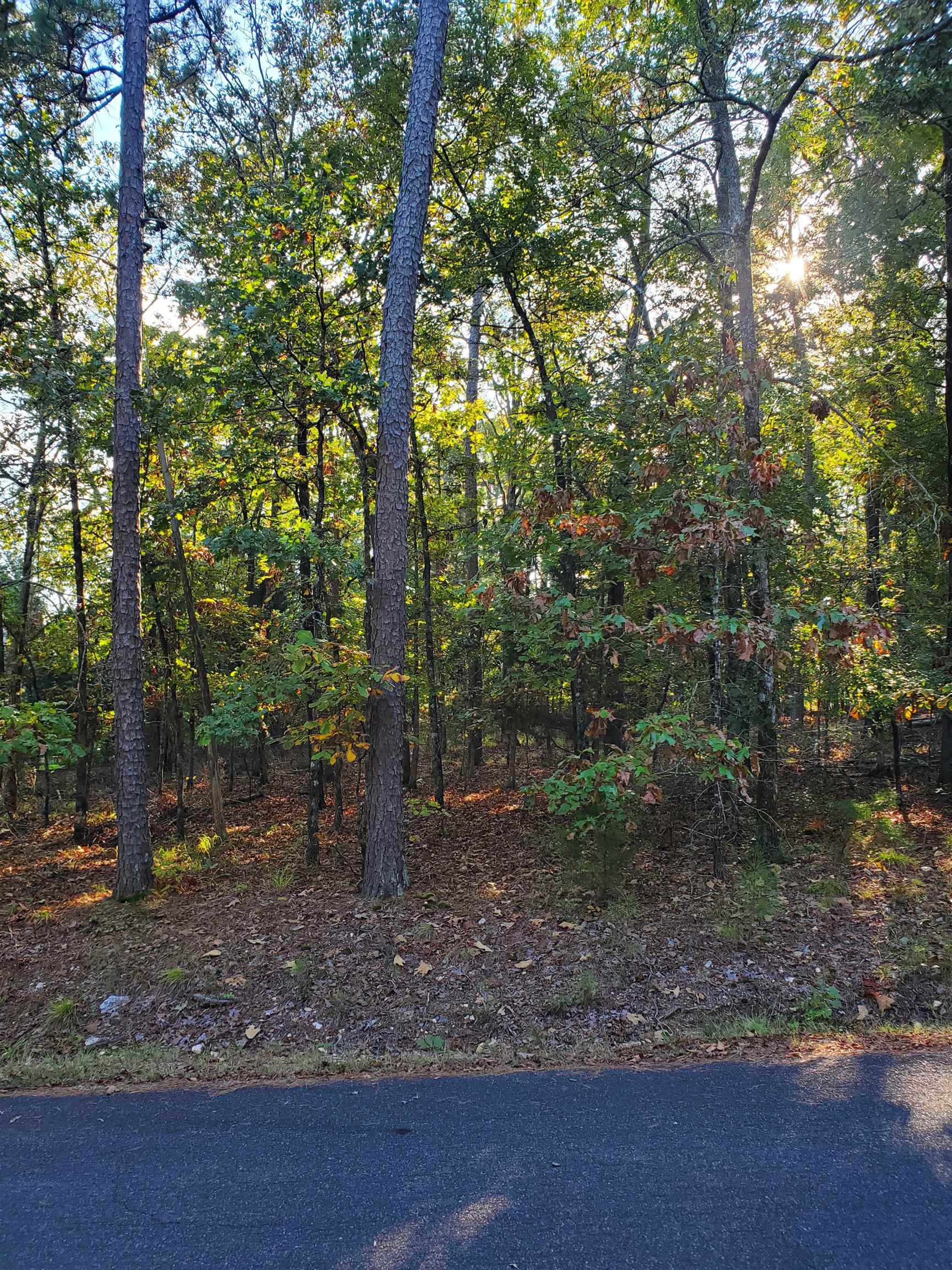 5  Loyola  Hot Springs Village, AR