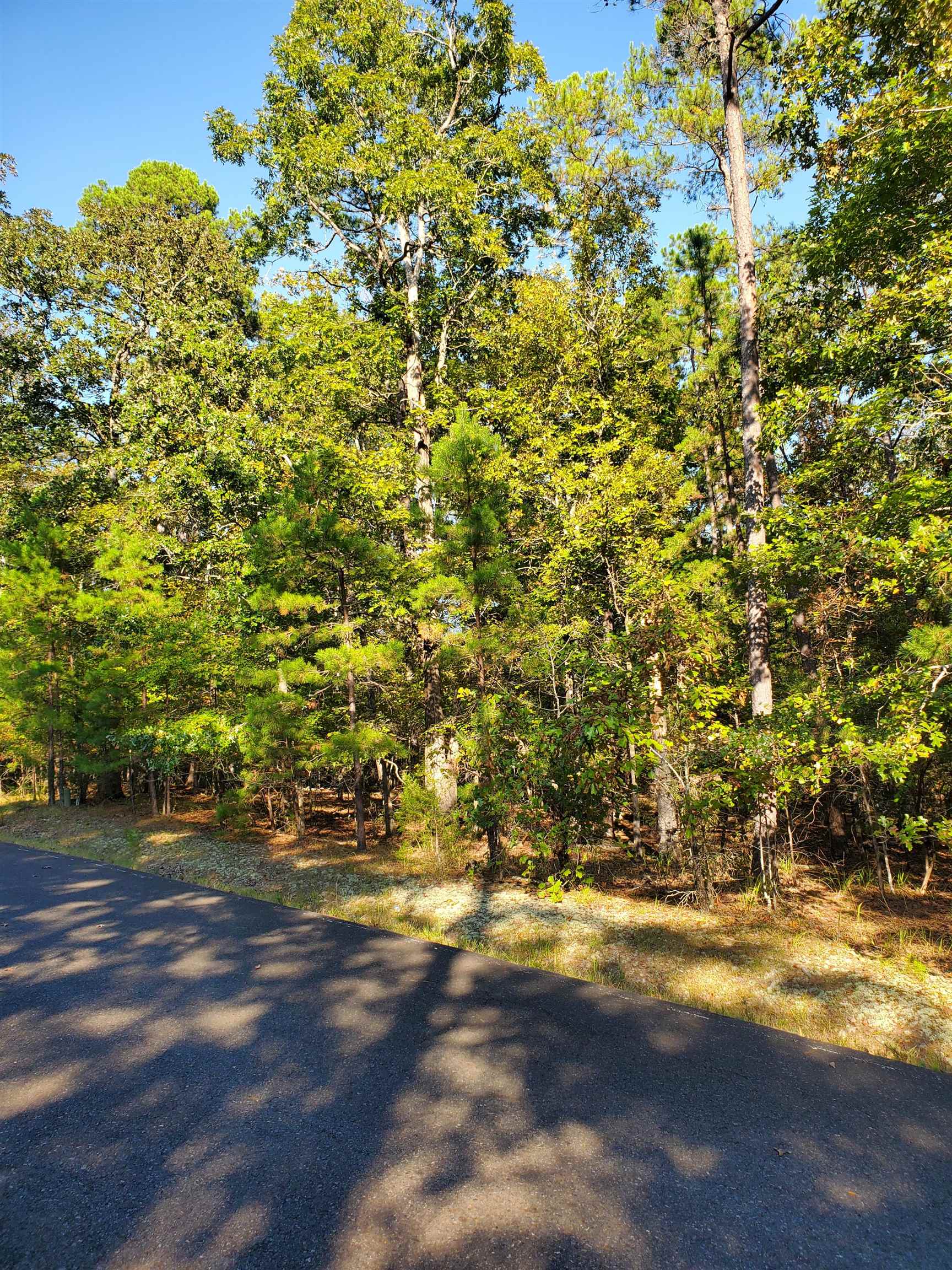 2  Princesa  Hot Springs Village, AR
