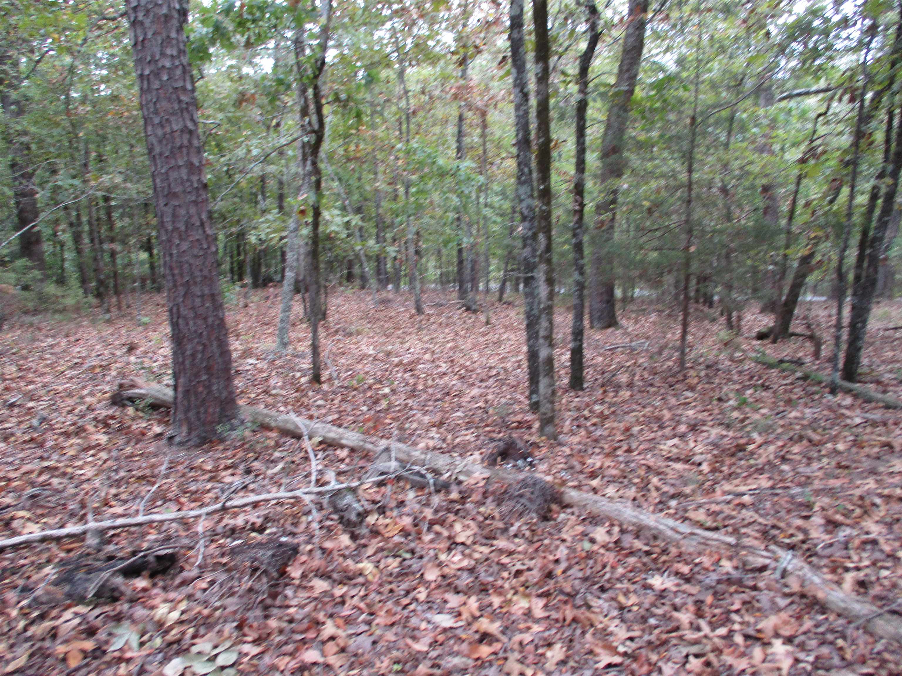 12  Princesa  Hot Springs Village, AR