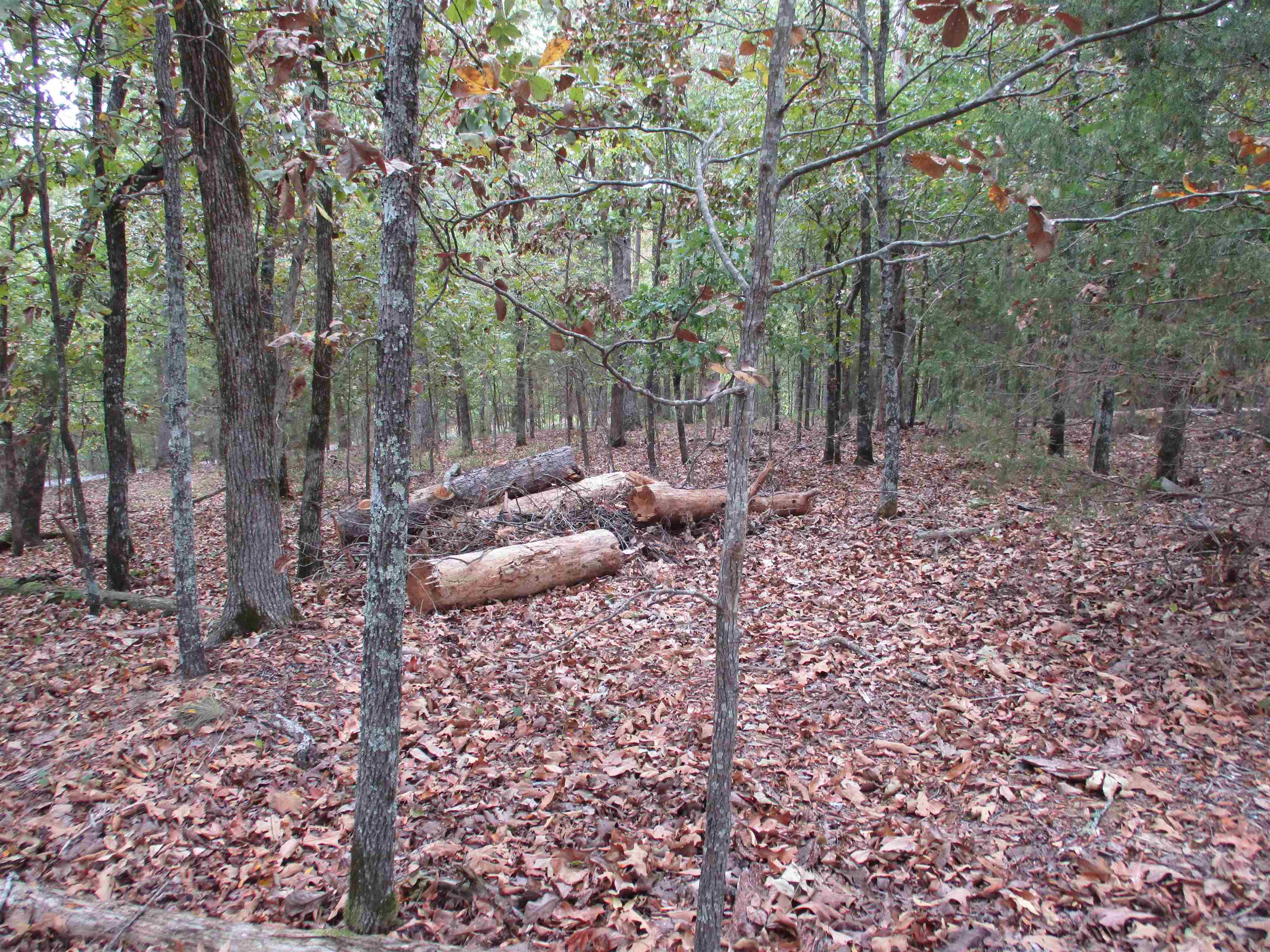 12  Princesa  Hot Springs Village, AR