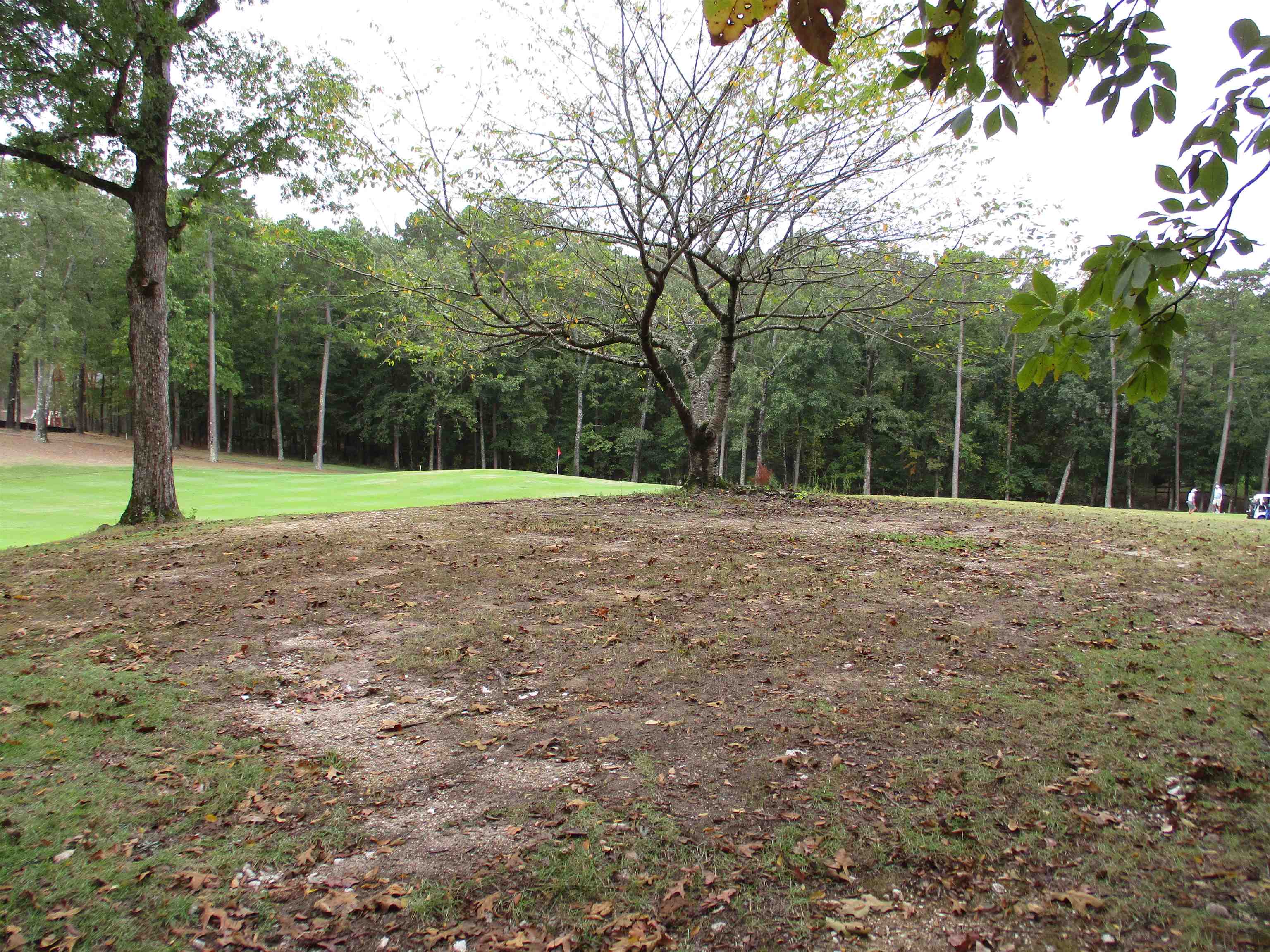 12  Princesa  Hot Springs Village, AR
