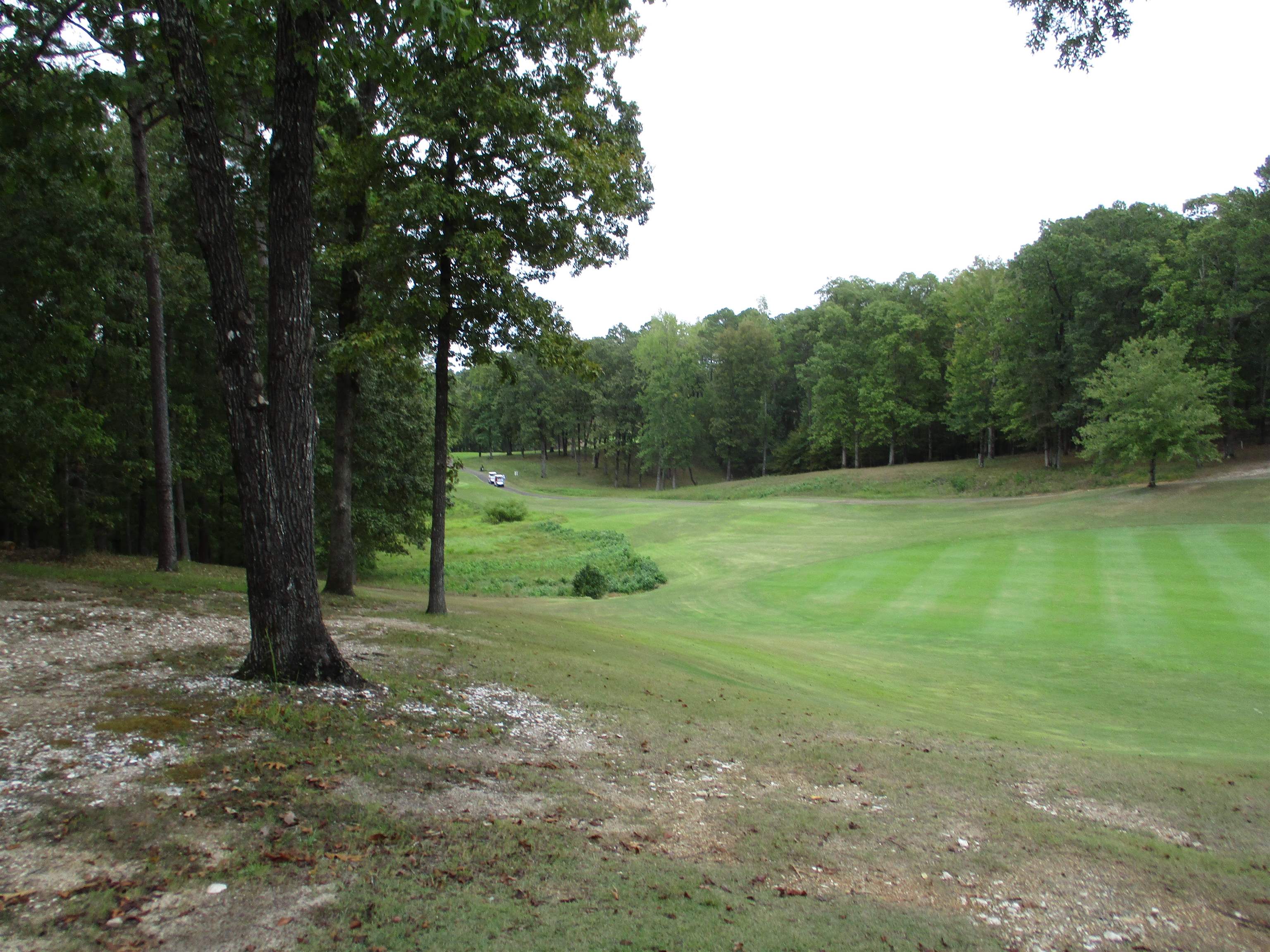 12  Princesa  Hot Springs Village, AR