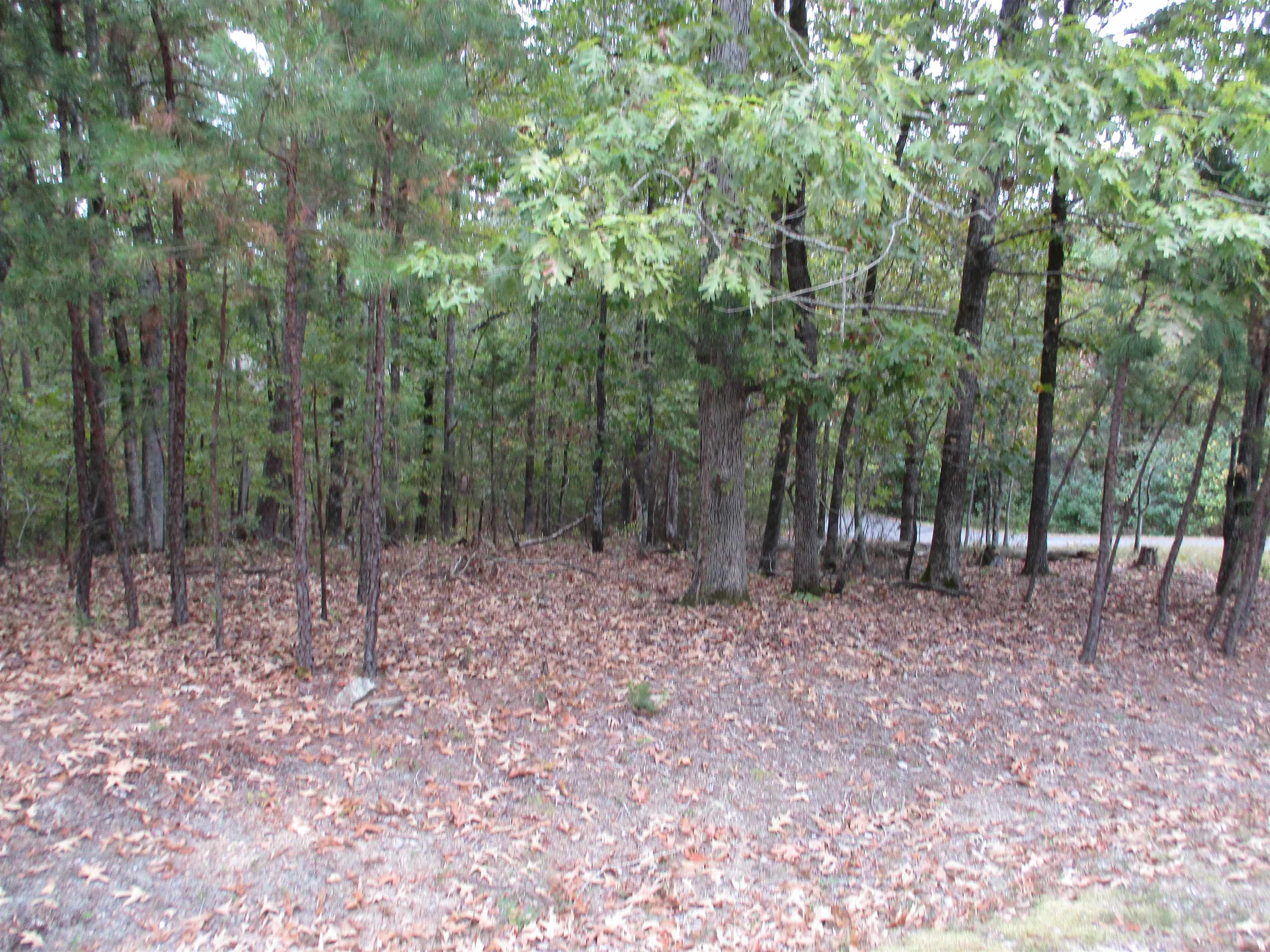 4  Princesa  Hot Springs Village, AR