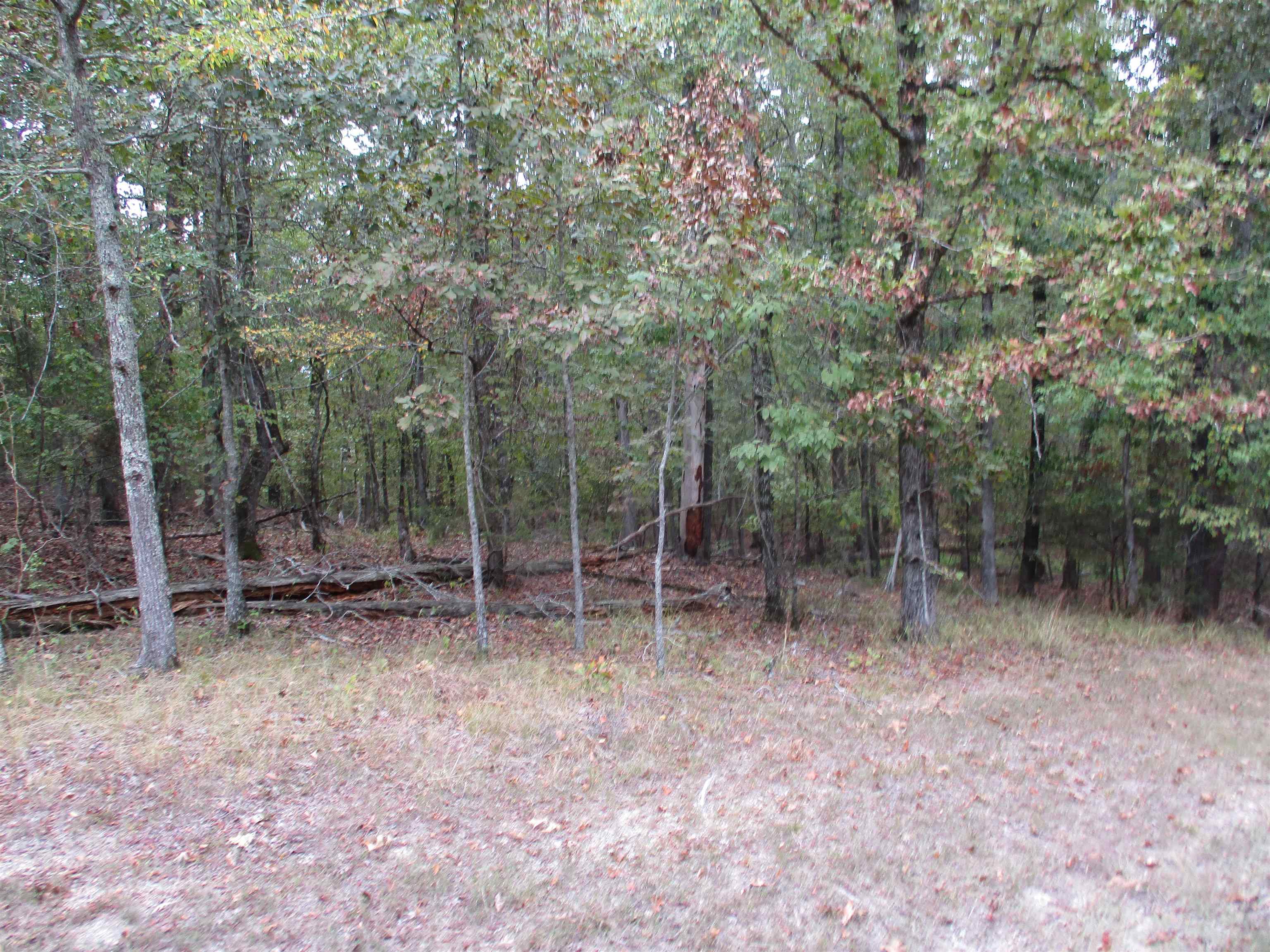4  Princesa  Hot Springs Village, AR