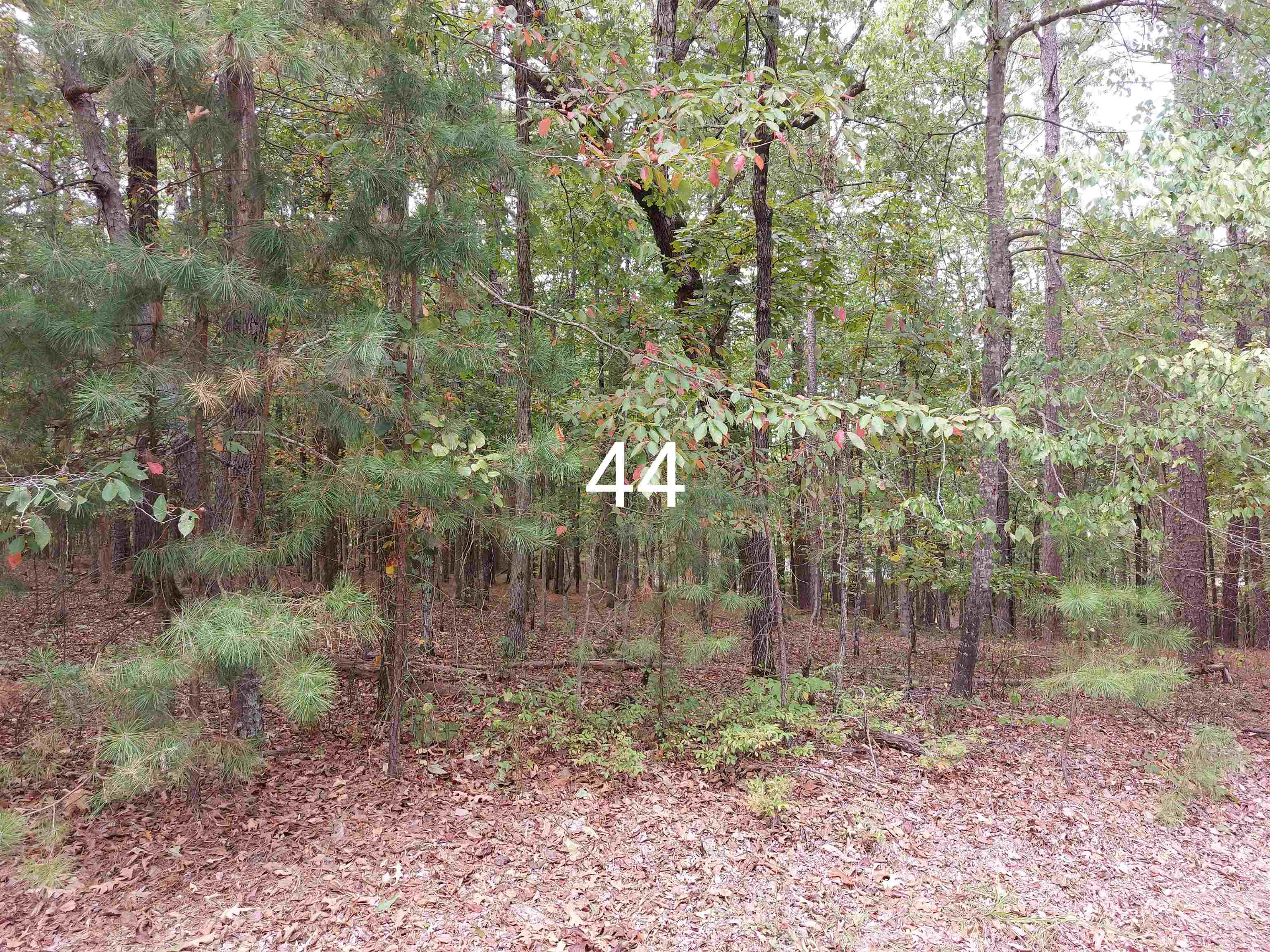 44  Granada Drive  Hot Springs Village, AR