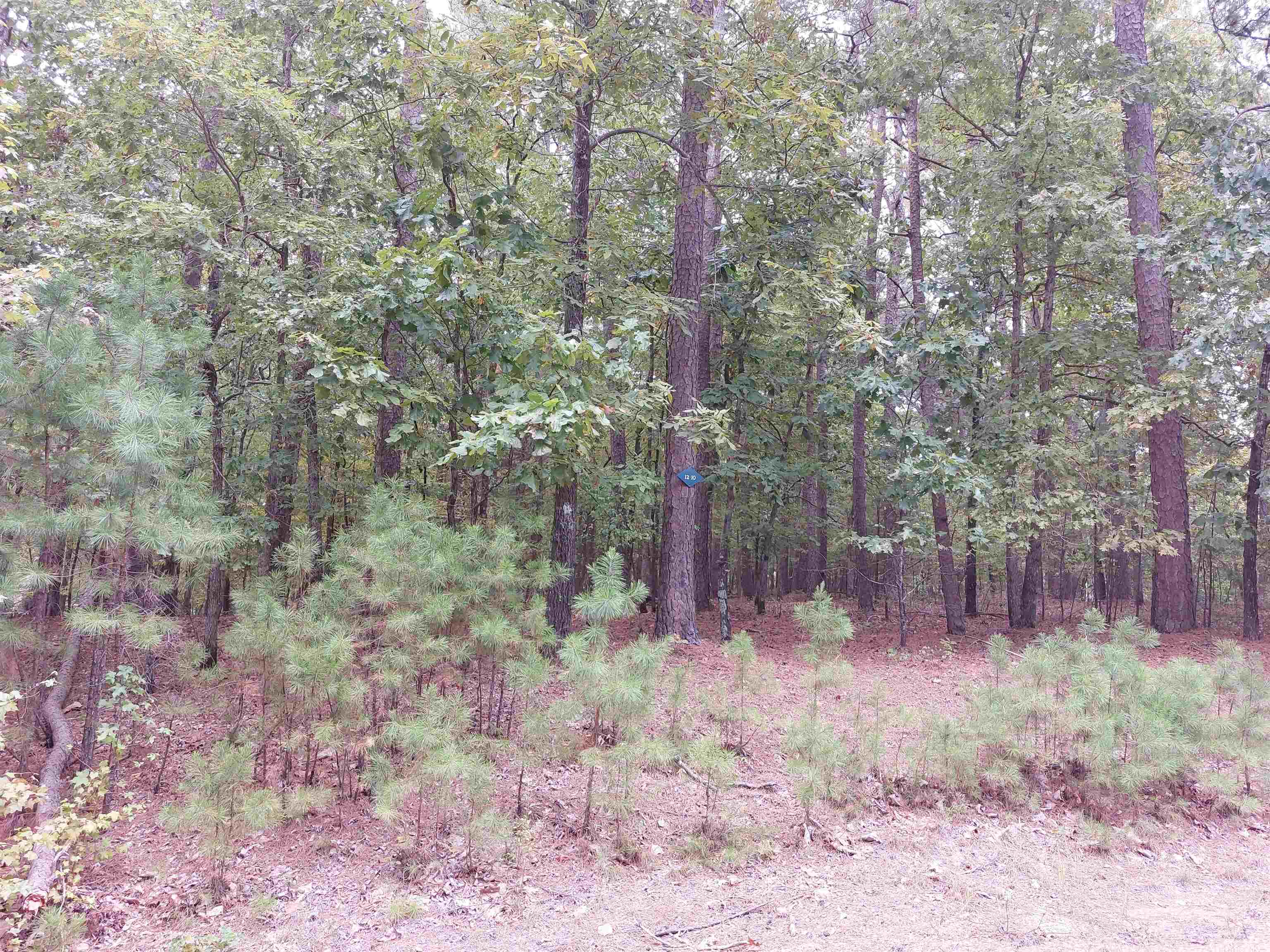 4  Granada  Hot Springs Village, AR