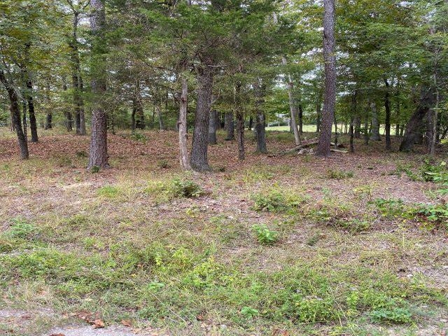 28  Princesa  Hot Springs Village, AR