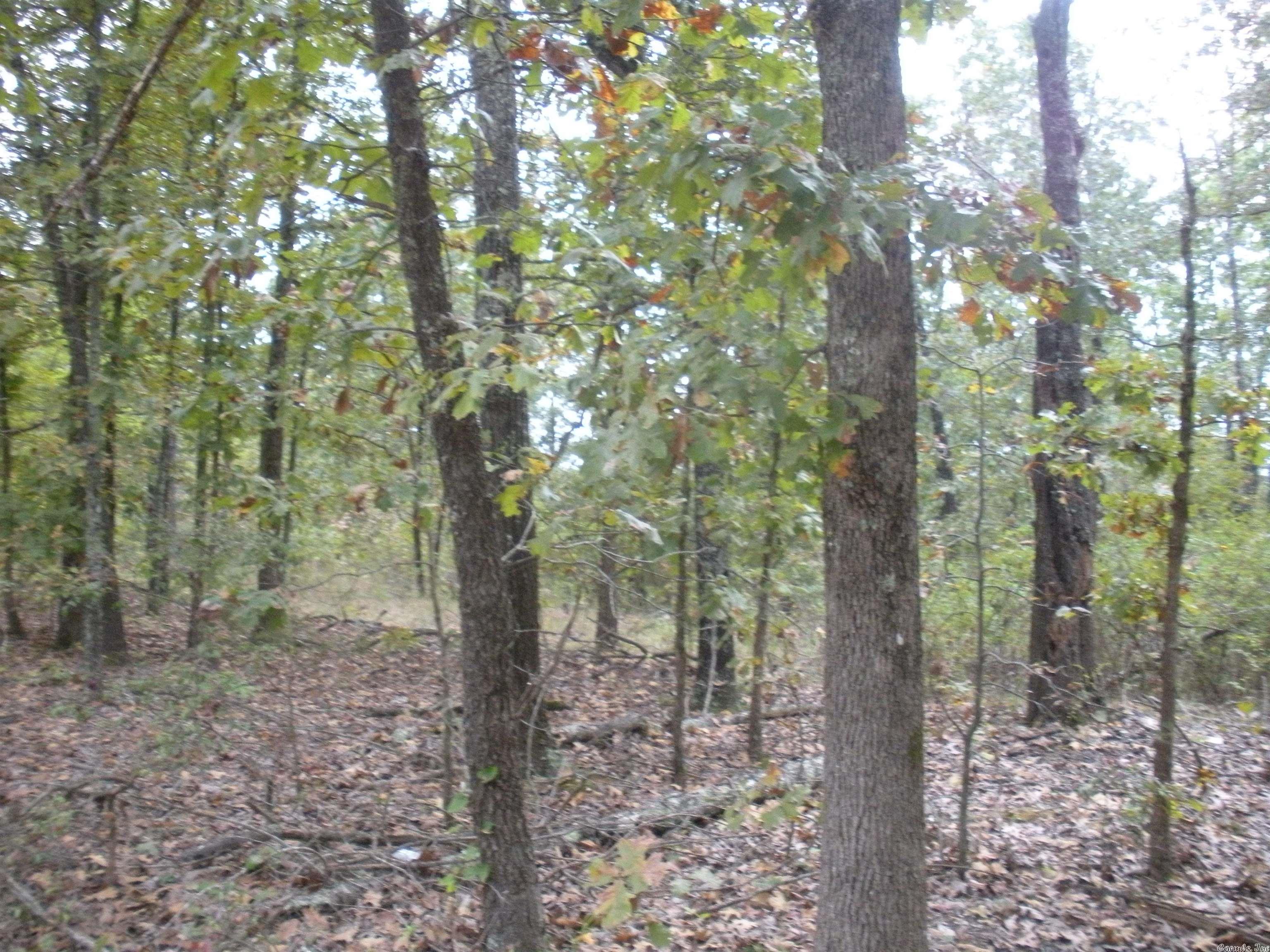 0  Big Creek Rd  Hardy, AR