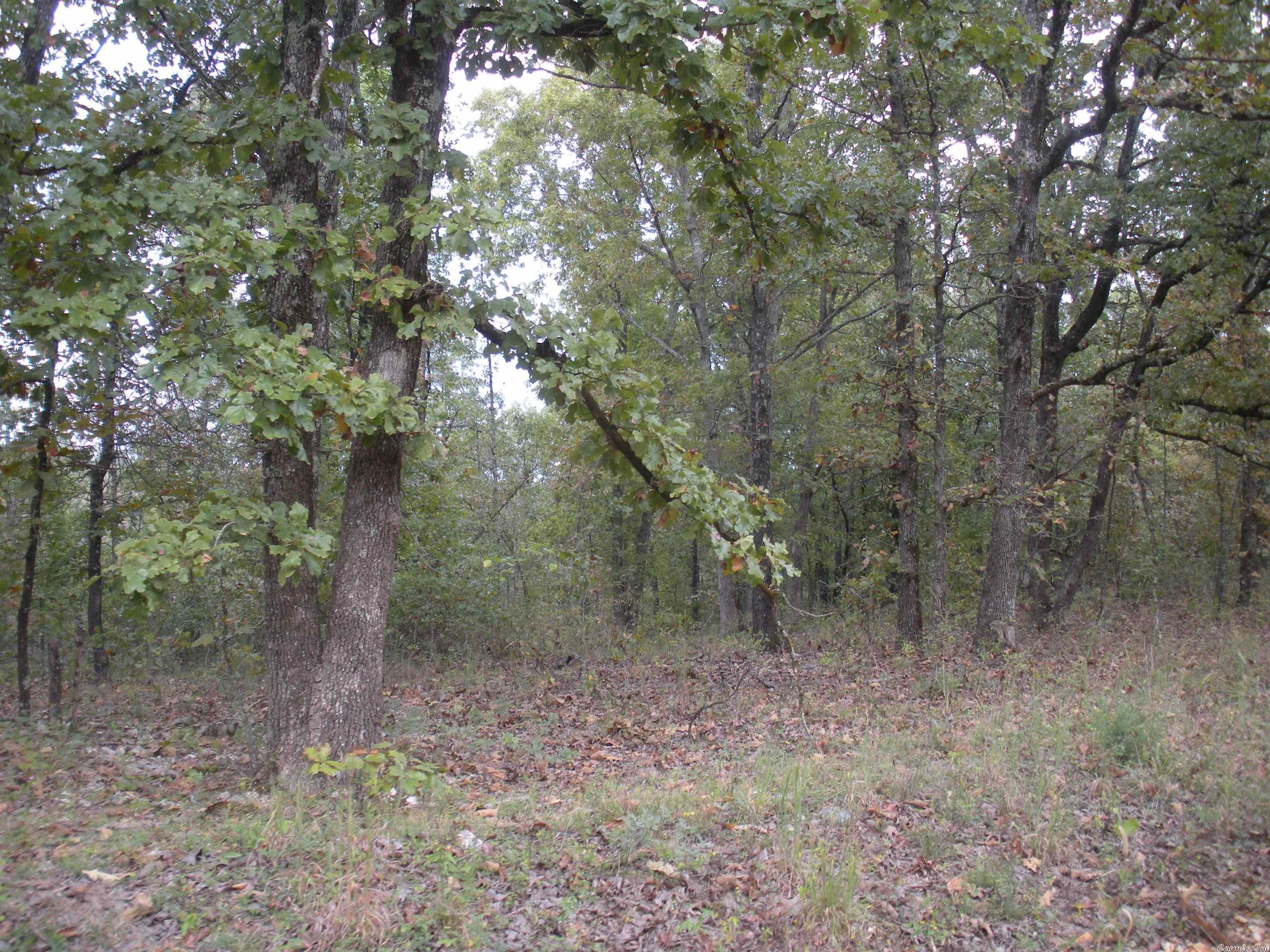 0  Big Creek Rd  Hardy, AR