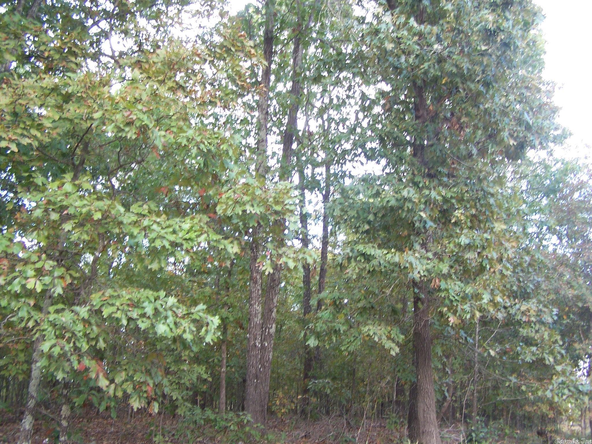 0  Big Creek Rd  Hardy, AR