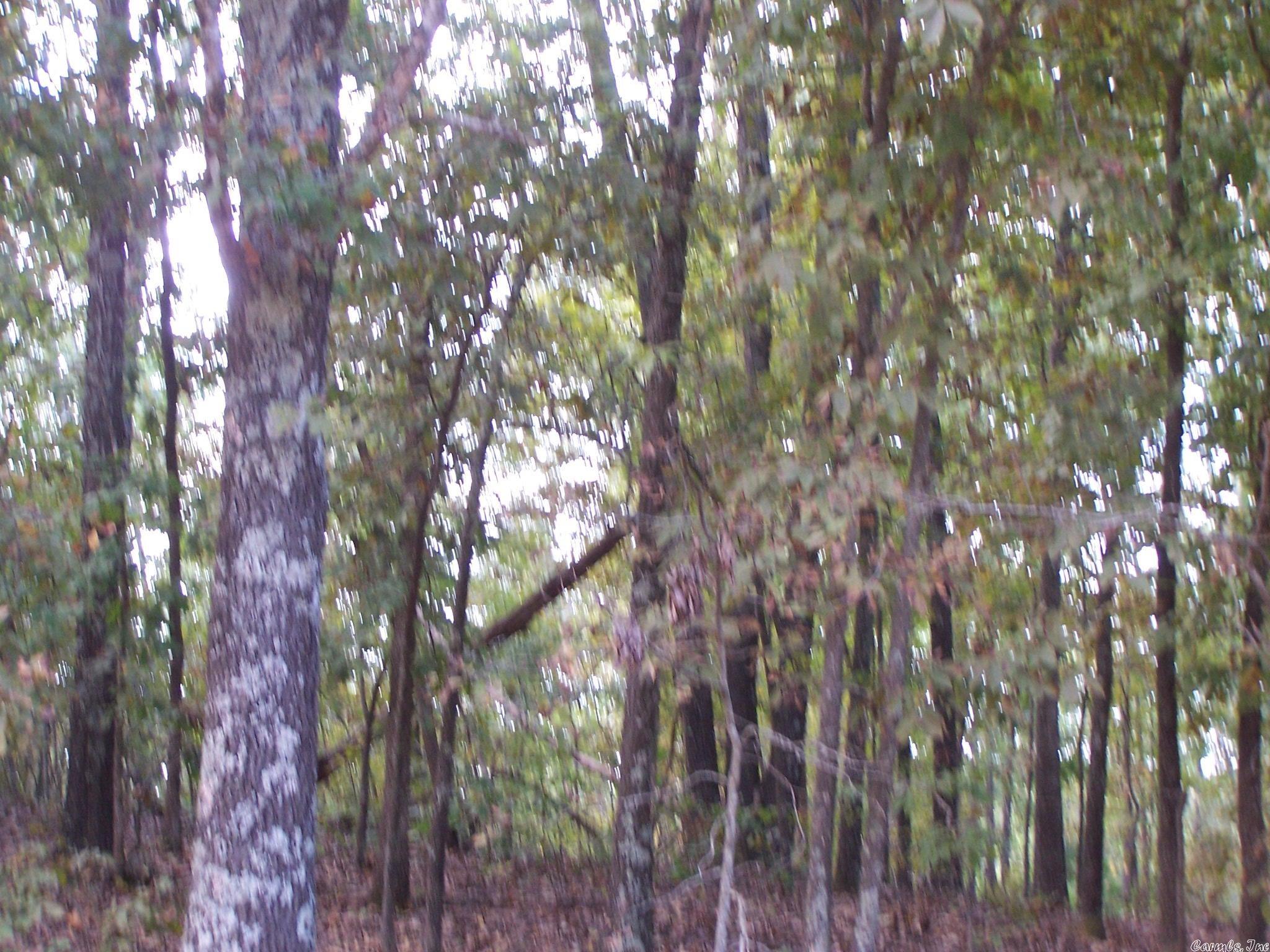 0  Big Creek Rd  Hardy, AR