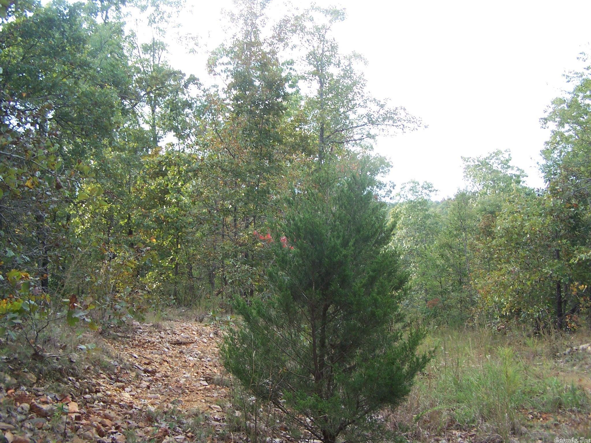 0  Big Creek Rd  Hardy, AR
