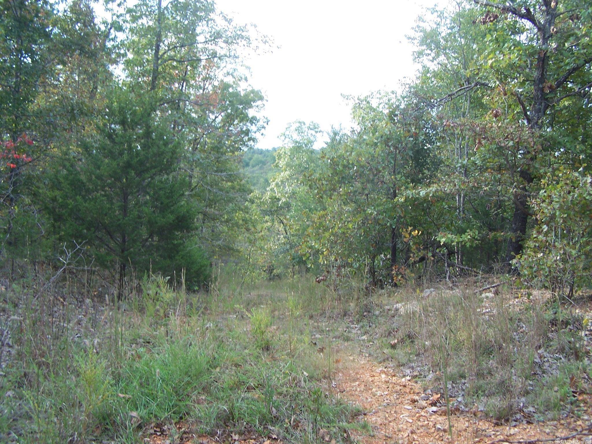 0  Big Creek Rd  Hardy, AR