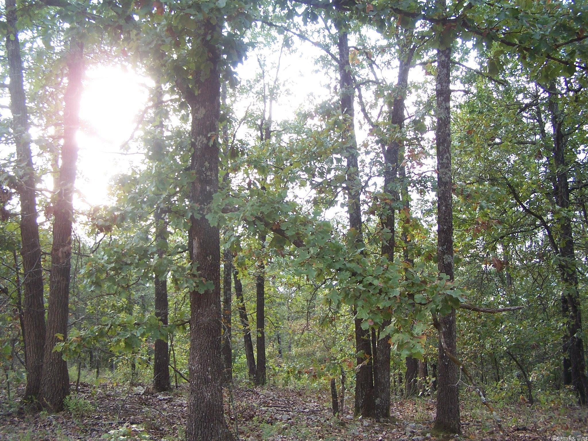 0  Big Creek Rd  Hardy, AR