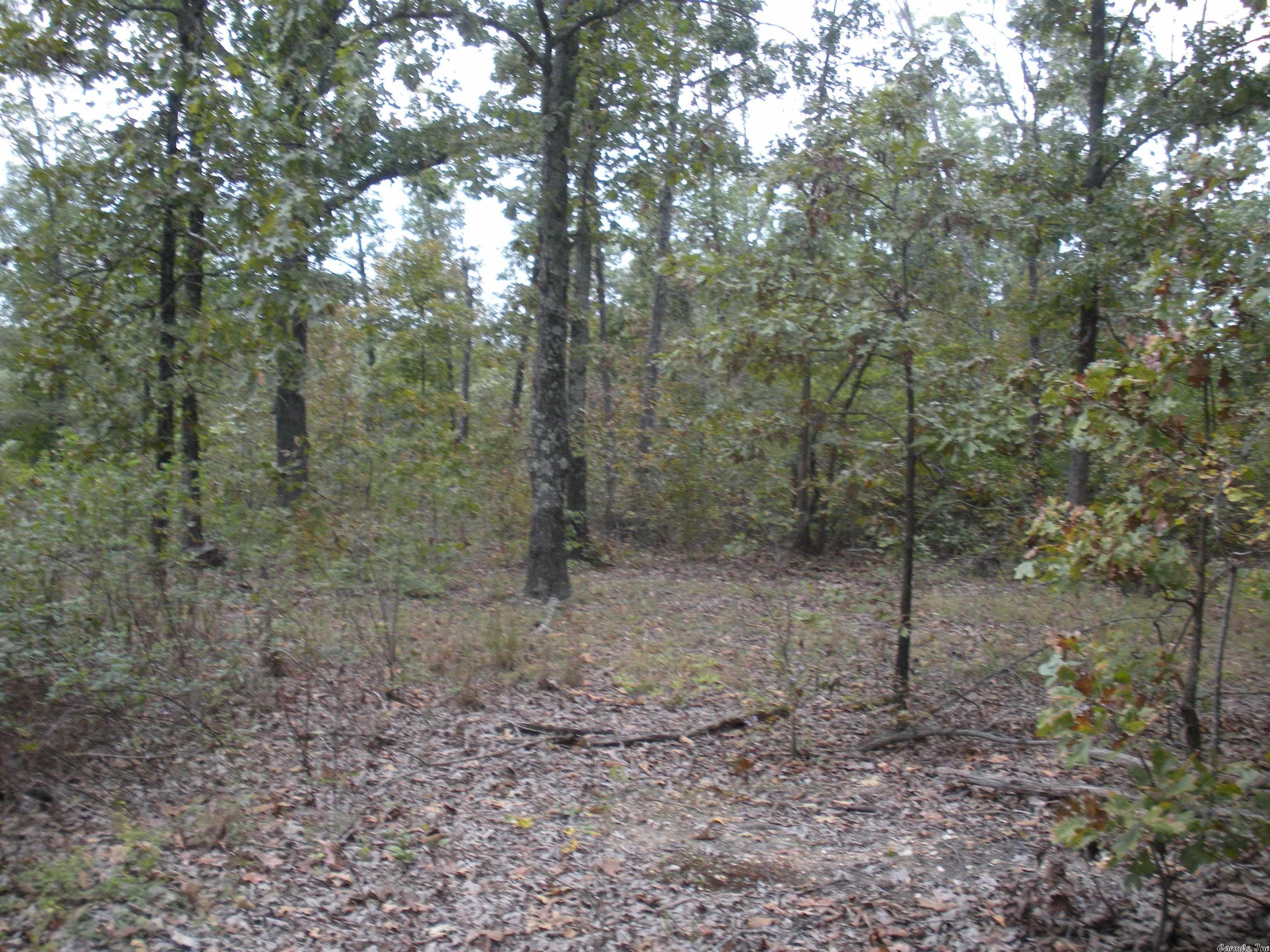 0  Big Creek Rd  Hardy, AR