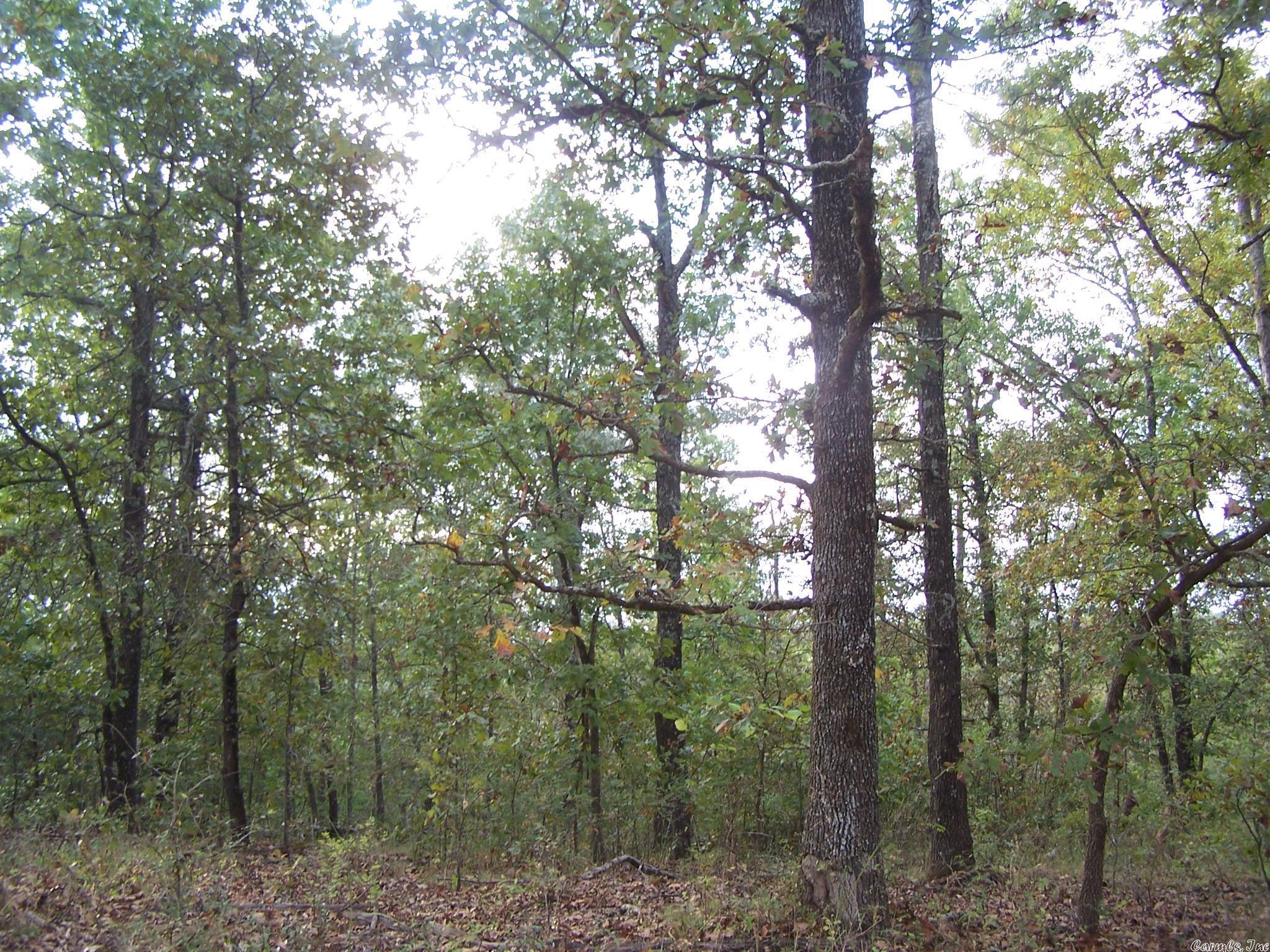 0  Big Creek Rd  Hardy, AR