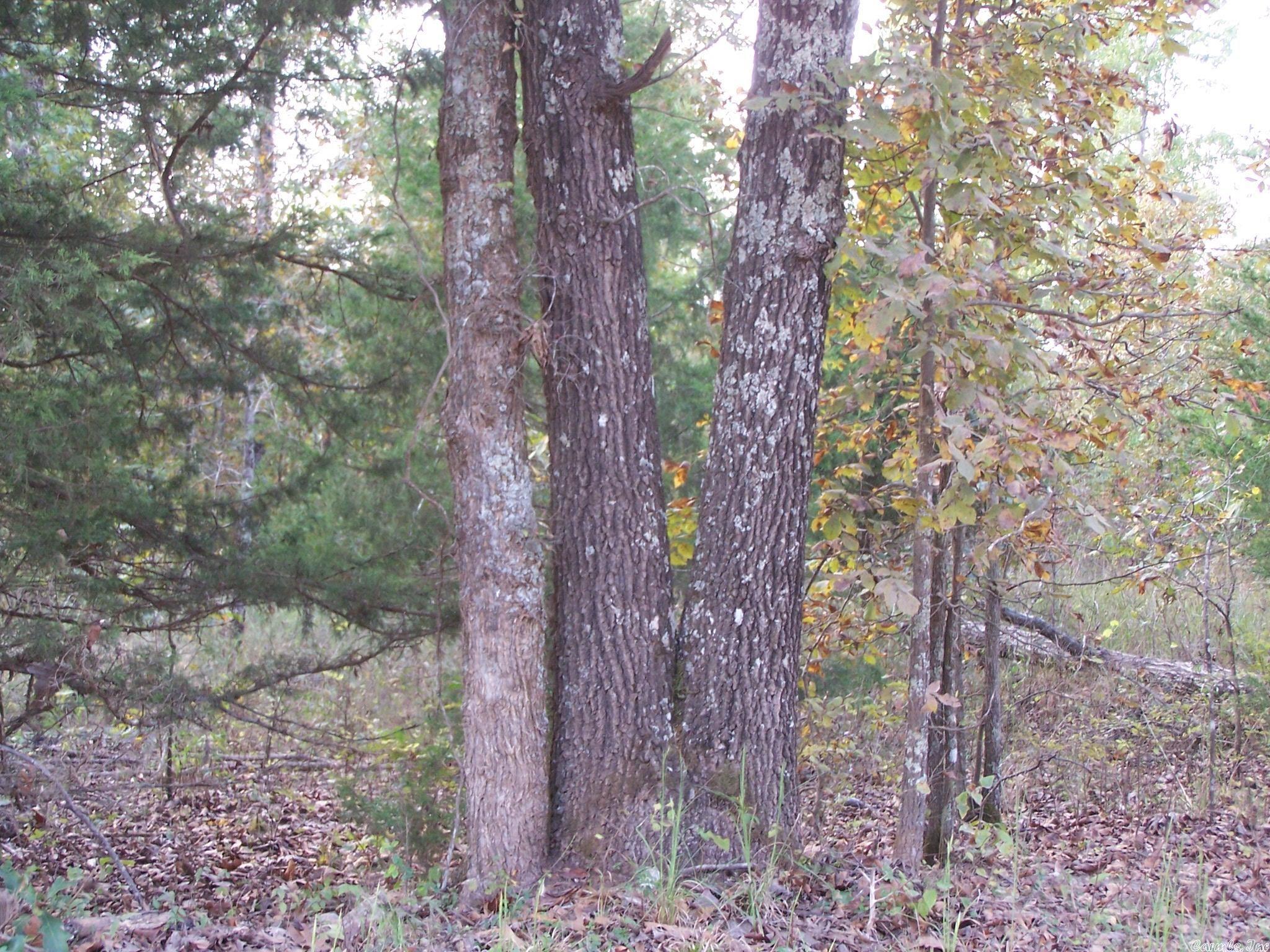 0  Big Creek Rd  Hardy, AR