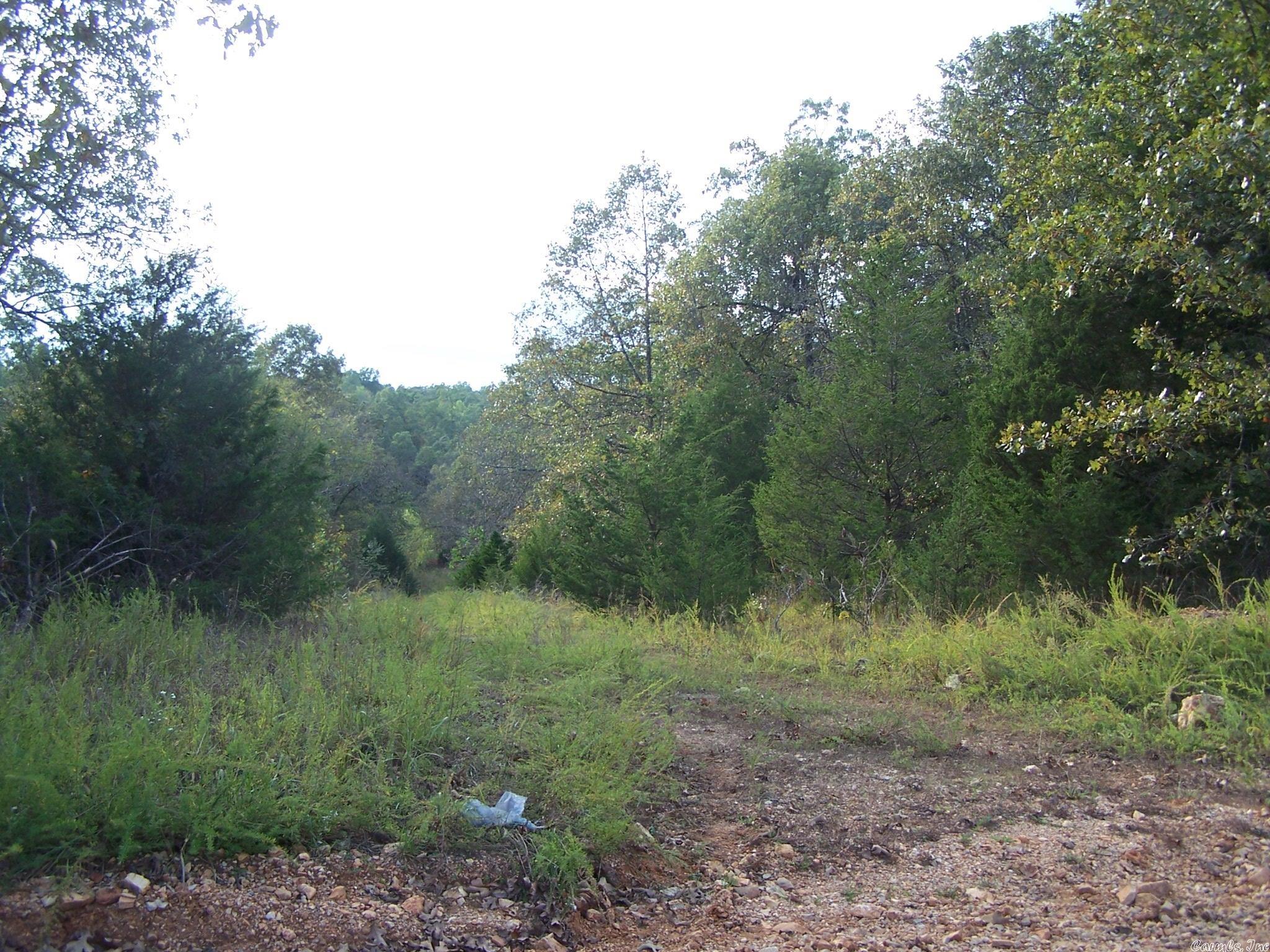 0  Big Creek Rd  Hardy, AR