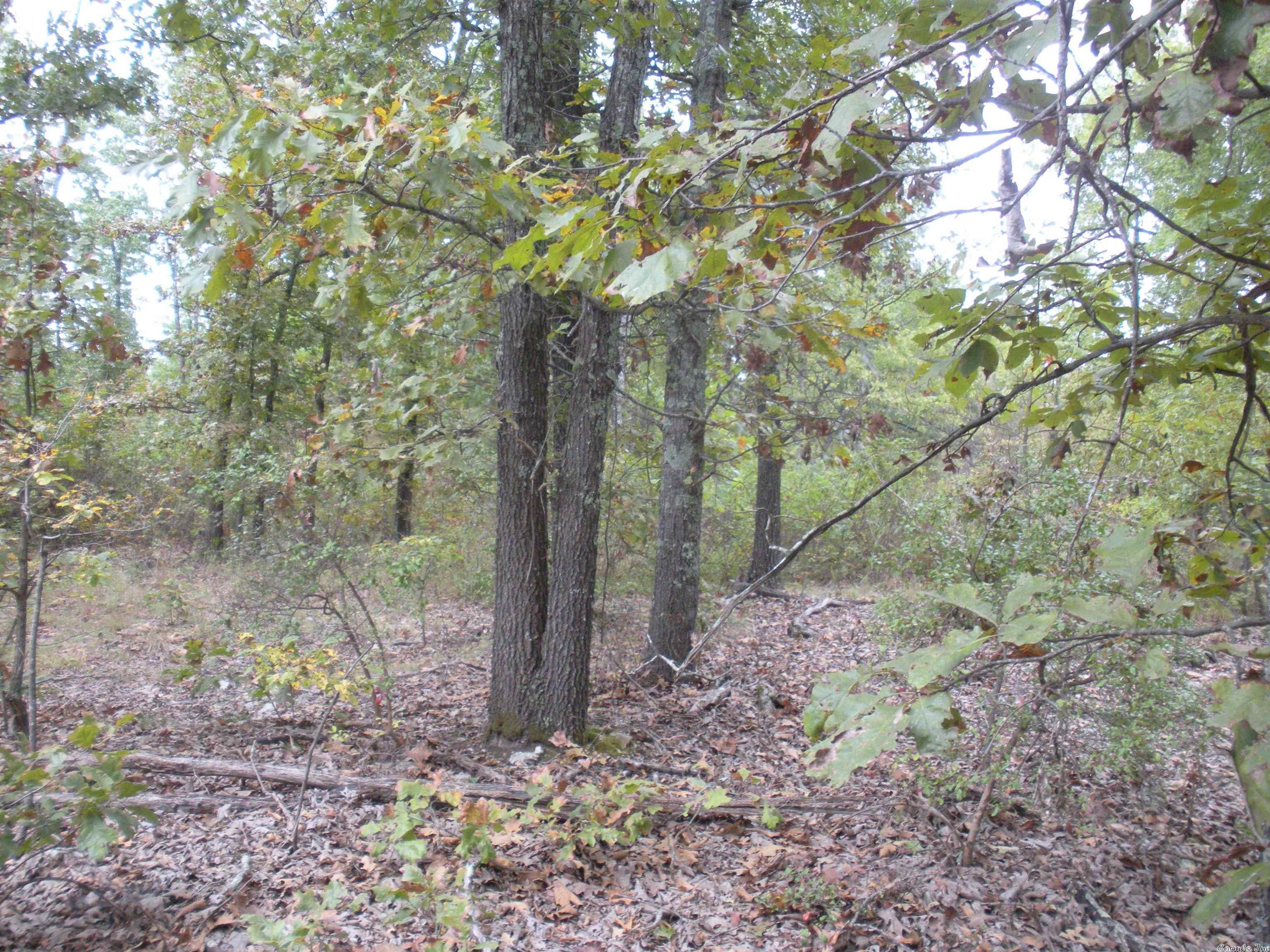 0  Big Creek Rd  Hardy, AR
