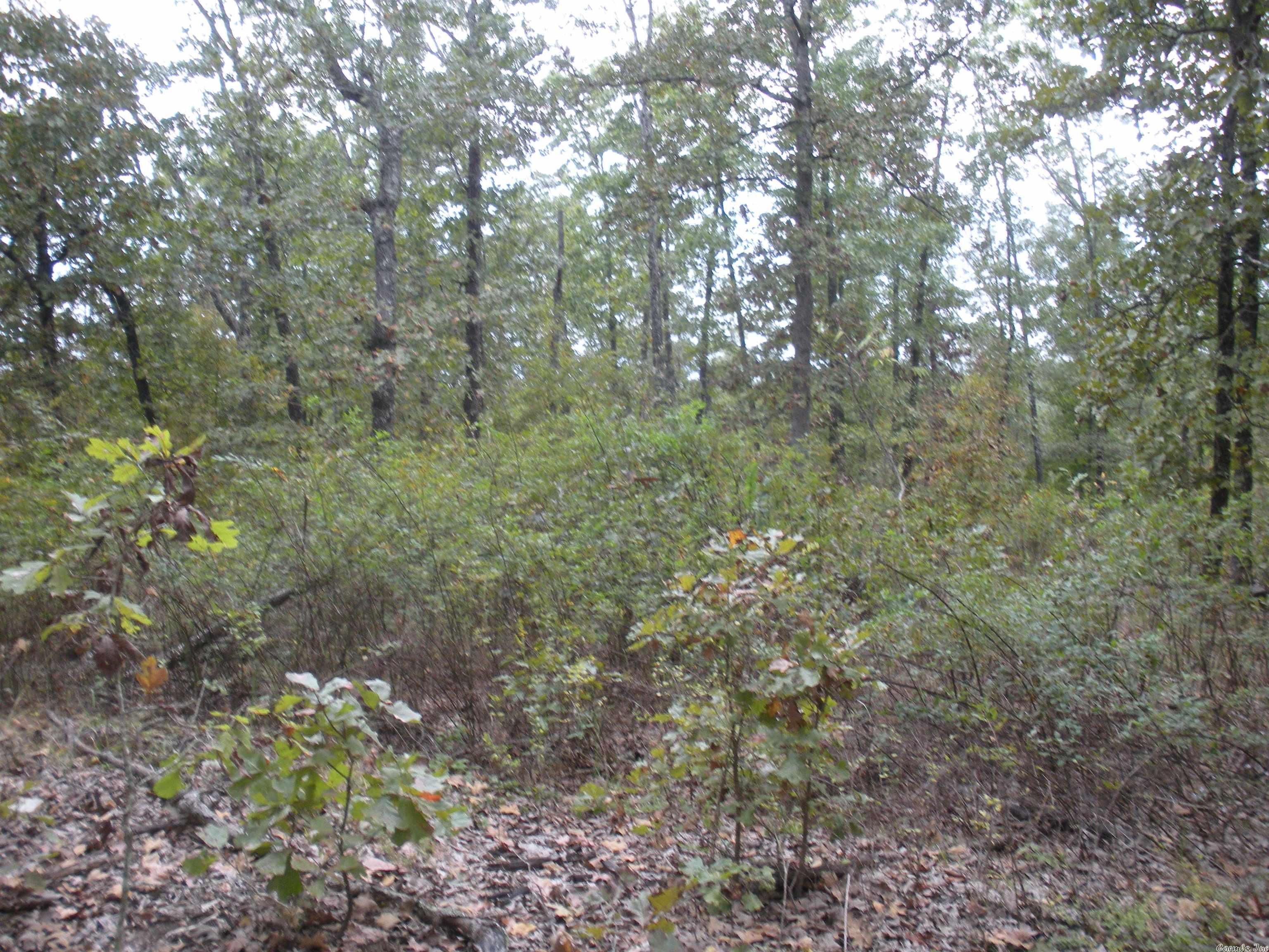 0  Big Creek Rd  Hardy, AR