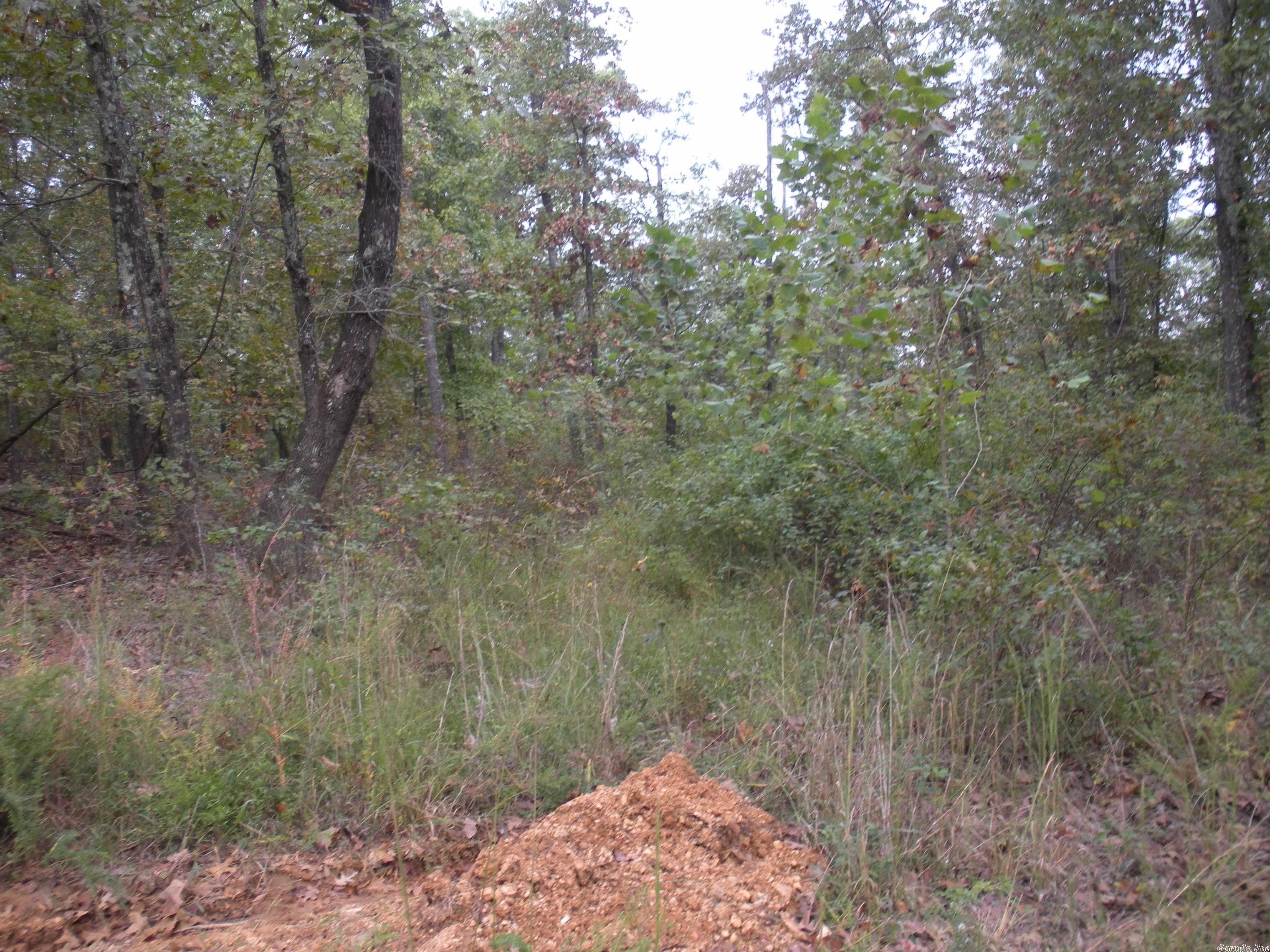 0  Big Creek Rd  Hardy, AR