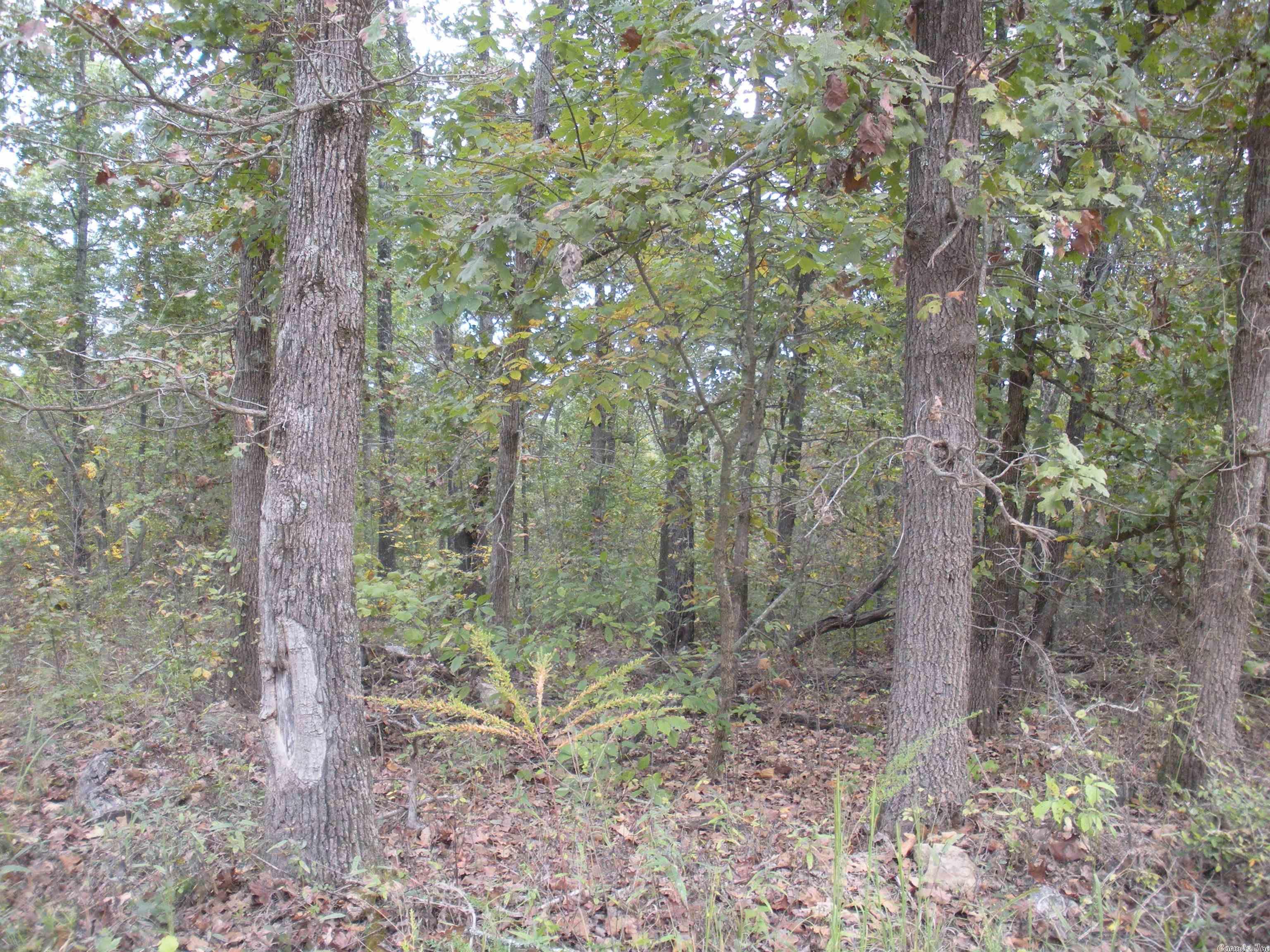 0  Big Creek Rd  Hardy, AR