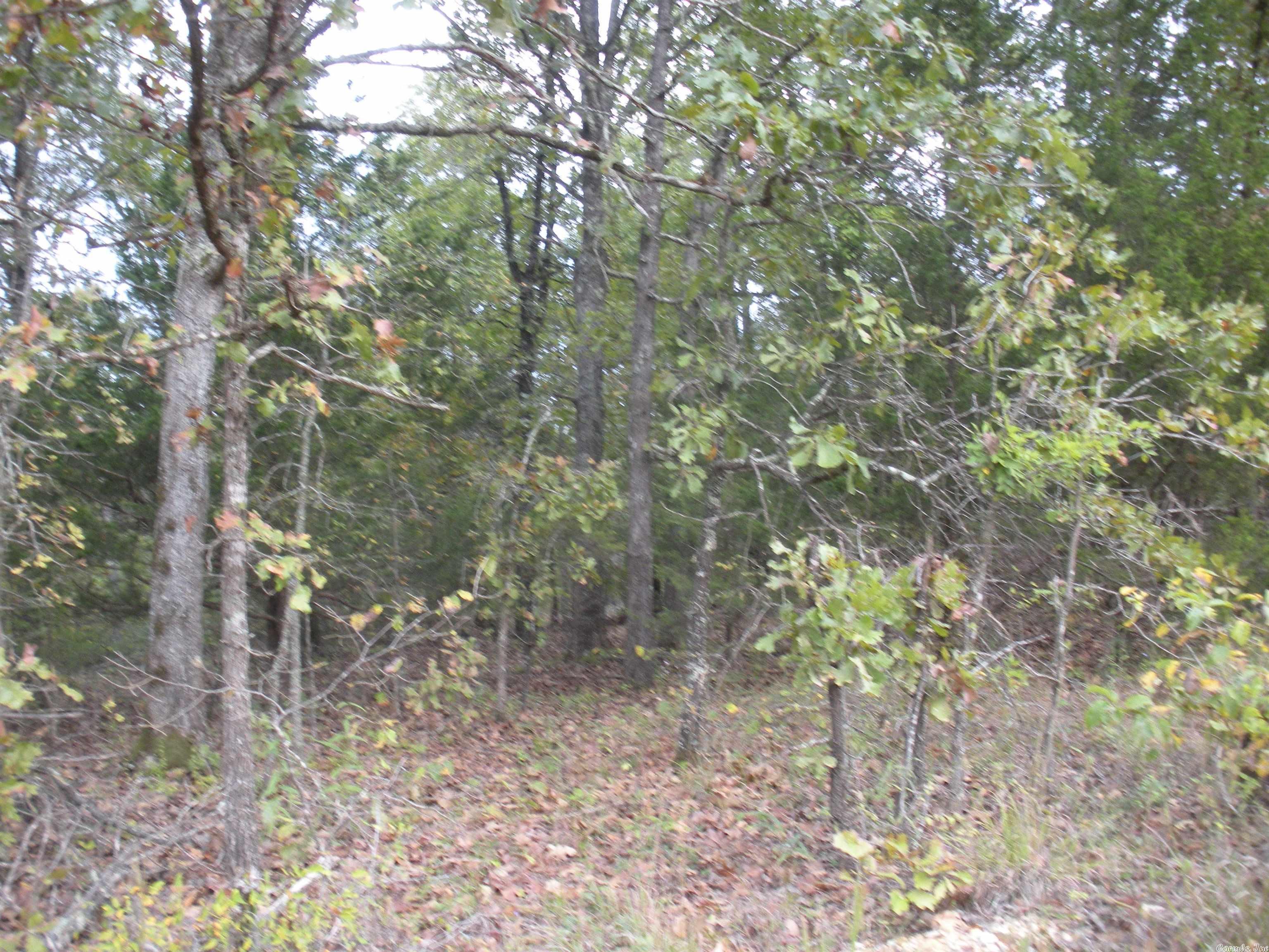 0  Big Creek Rd  Hardy, AR