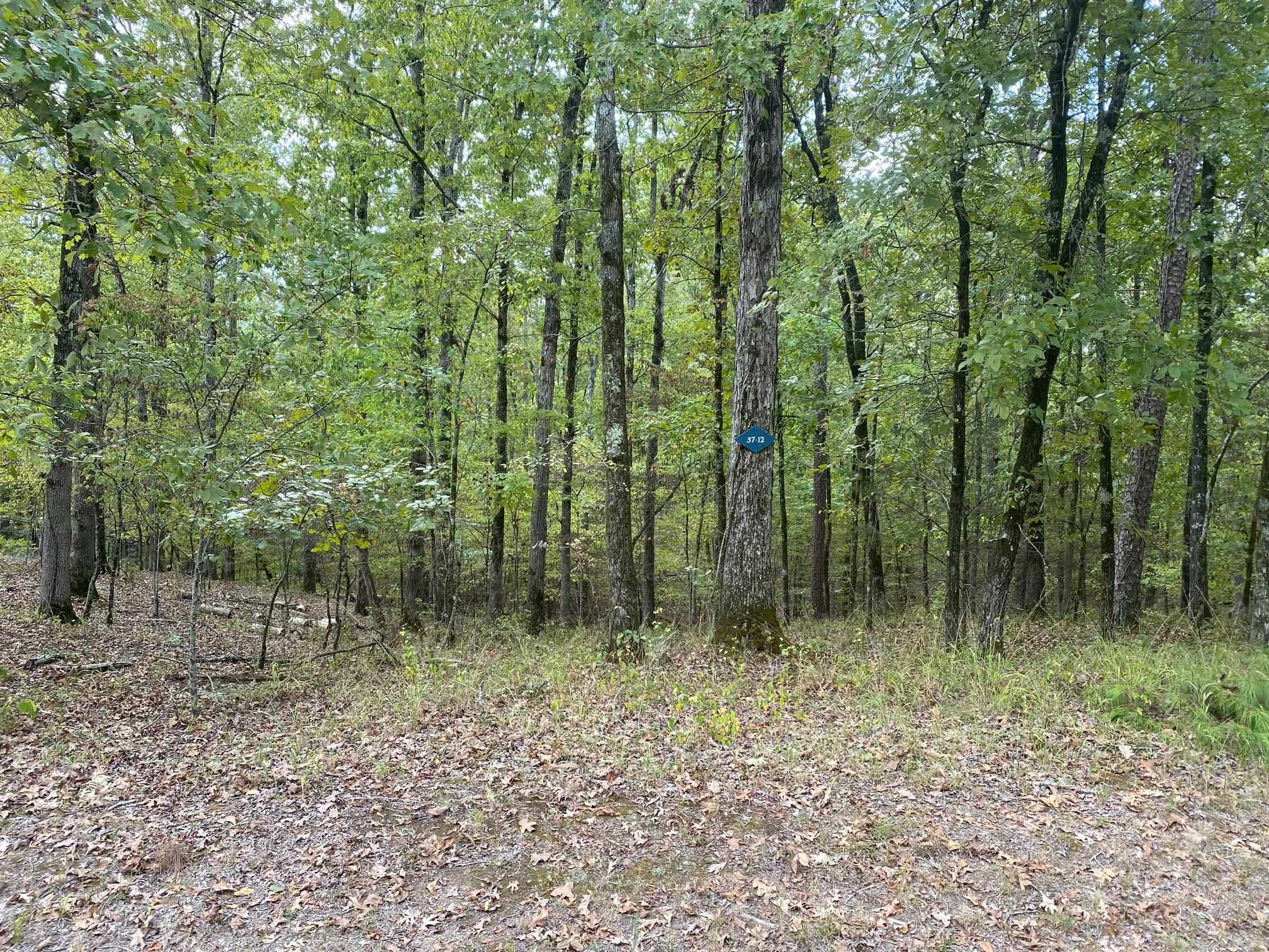 4  Princesa  Hot Springs Village, AR
