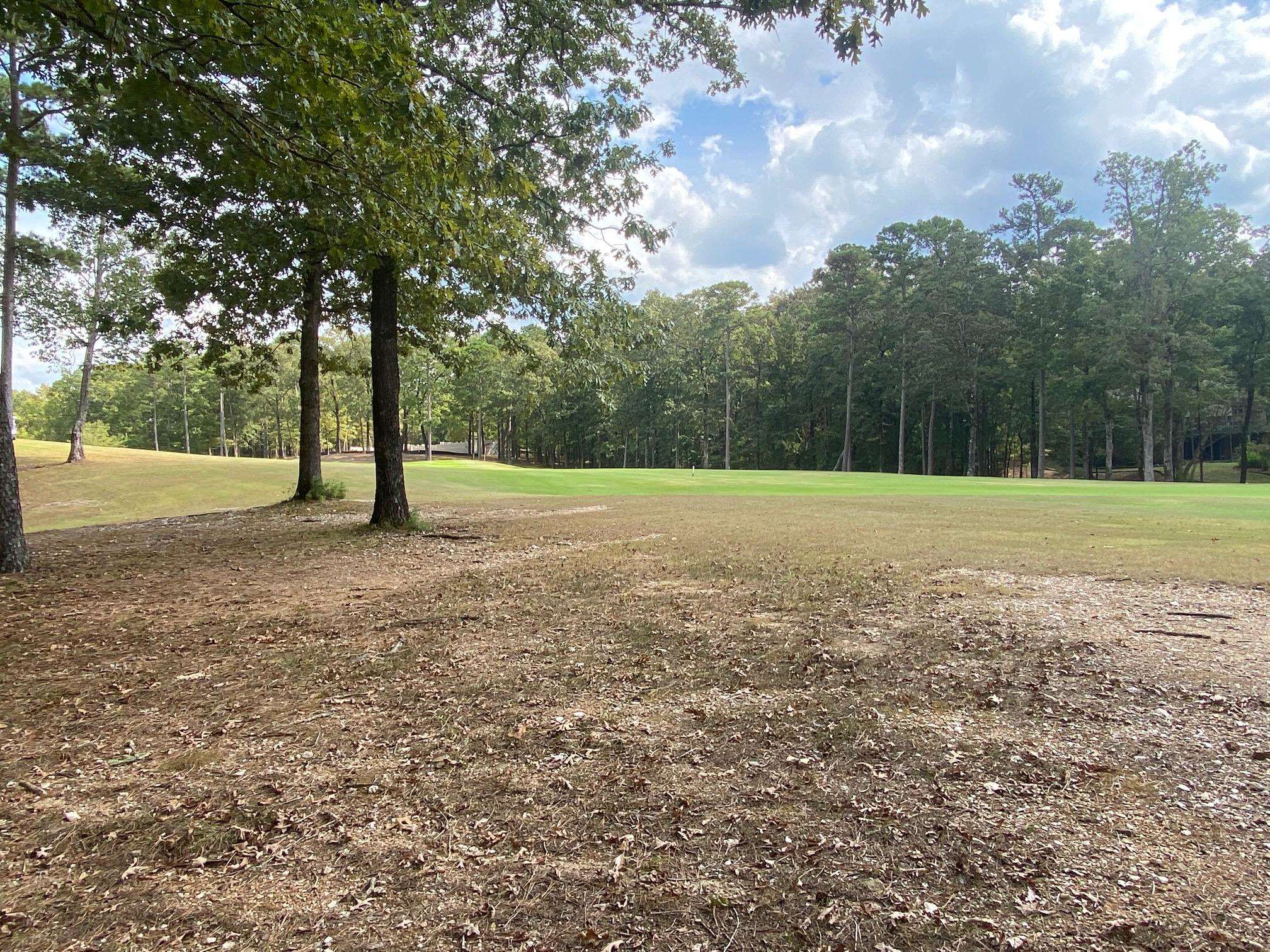 8  Princesa  Hot Springs Village, AR
