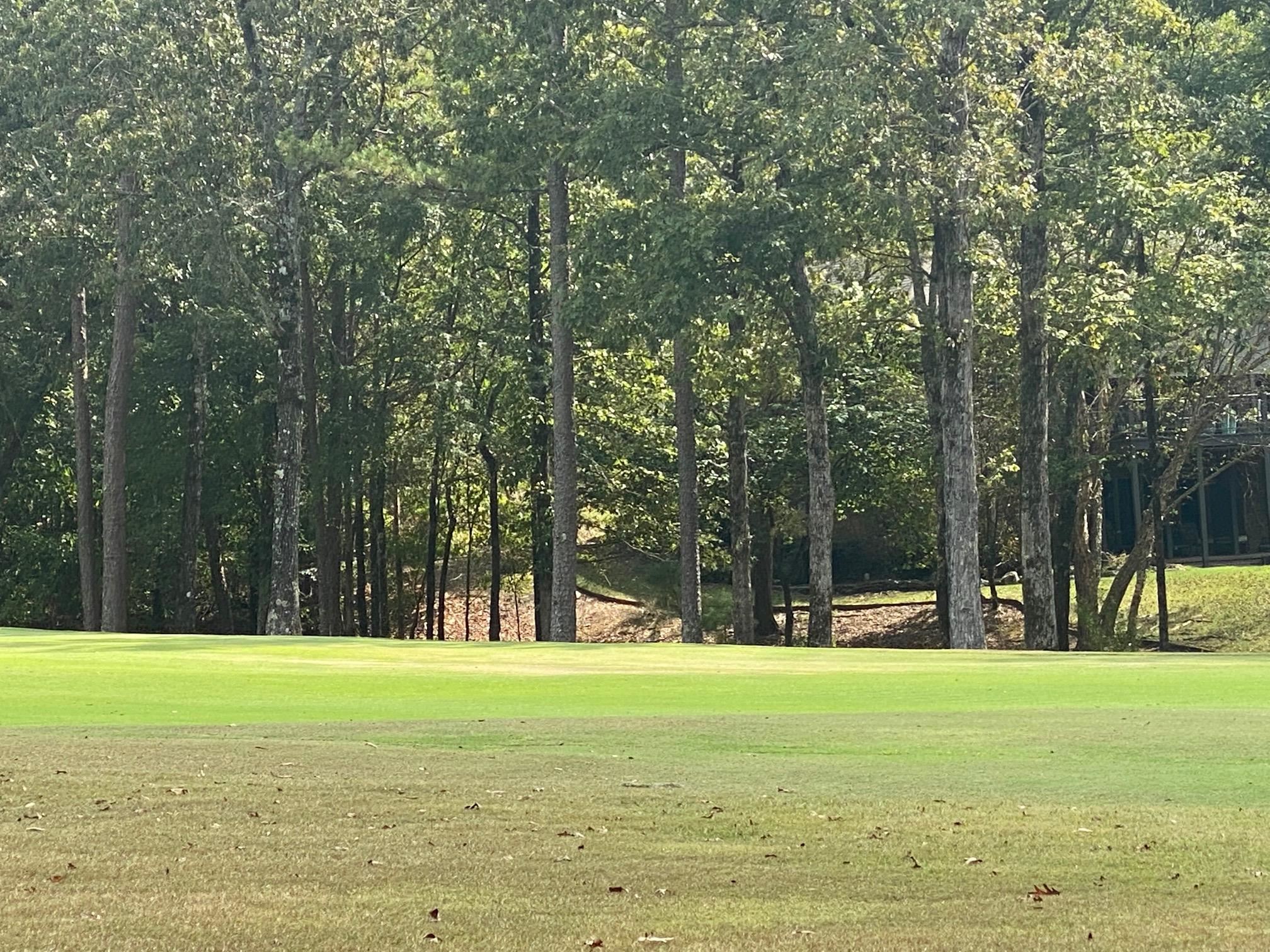 8  Princesa  Hot Springs Village, AR