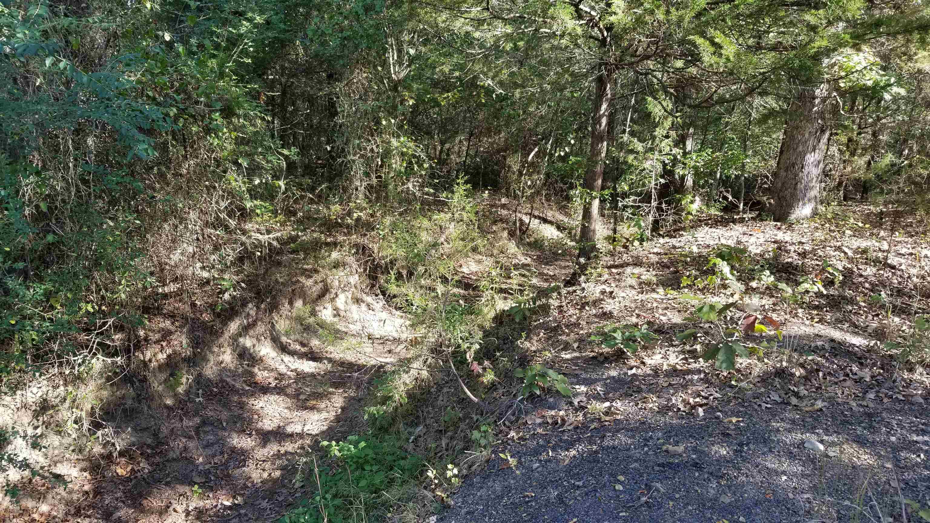 00  Land Road  Holland, AR