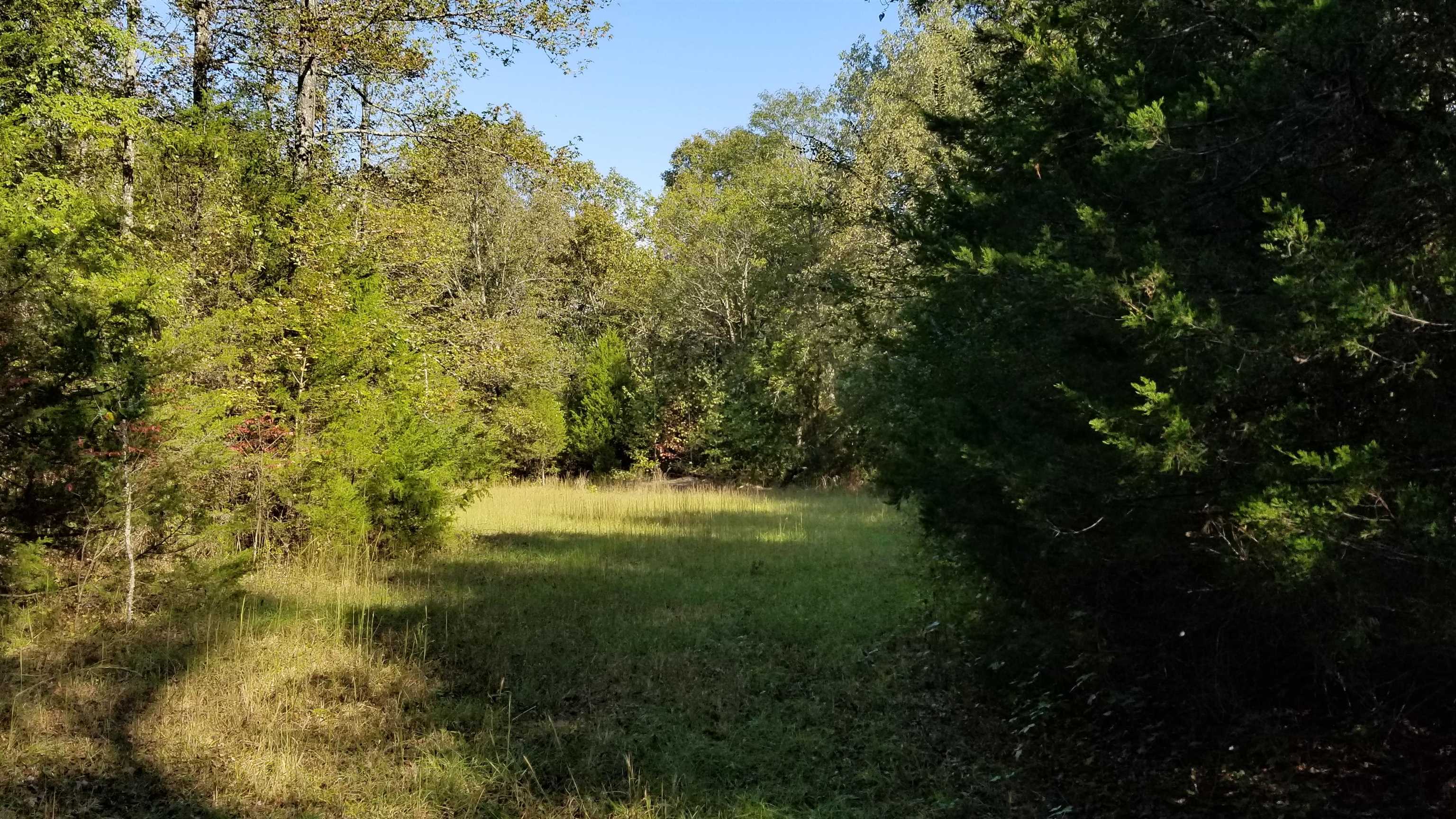 00  Land Road  Holland, AR