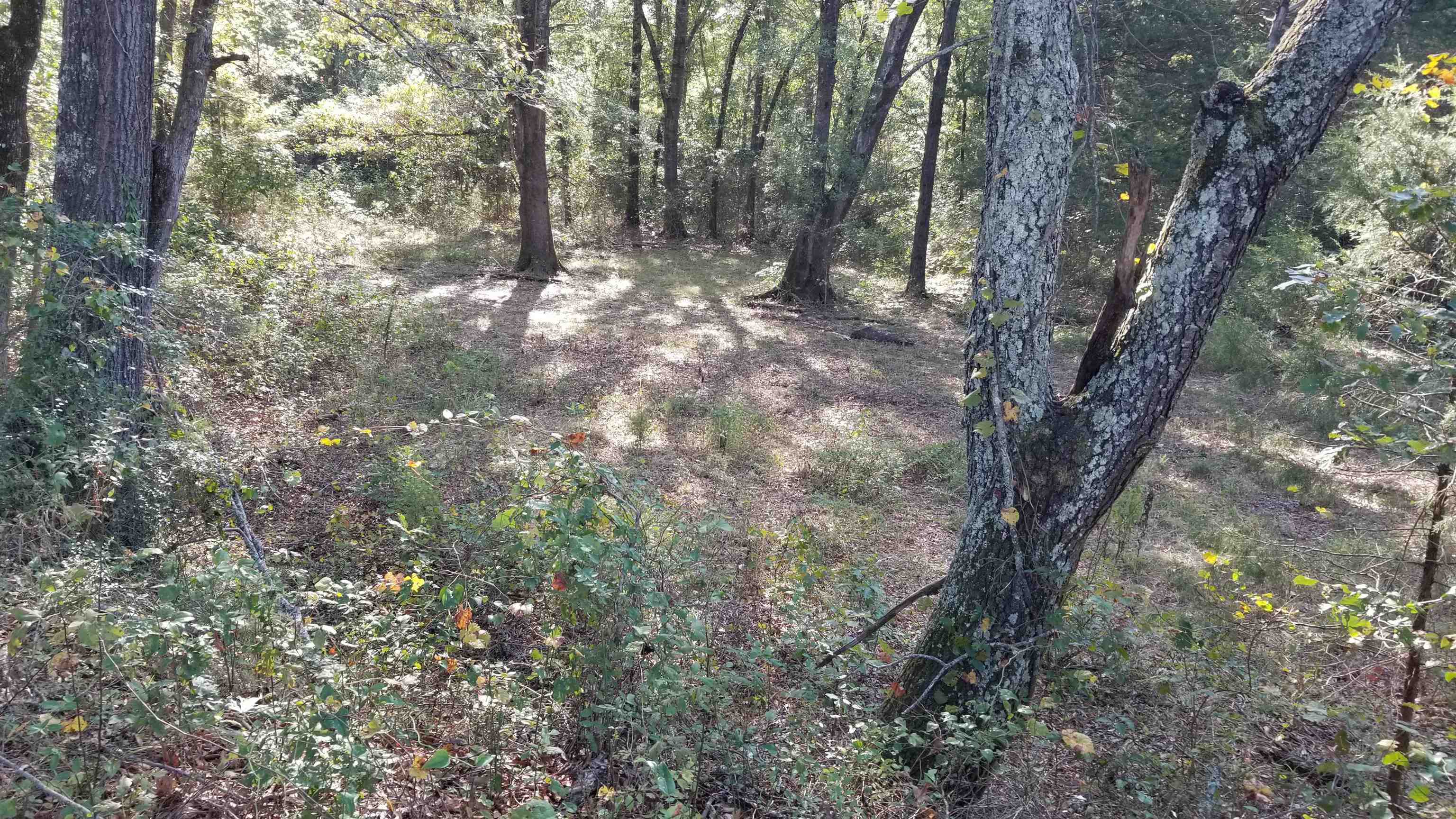 00  Land Road  Holland, AR