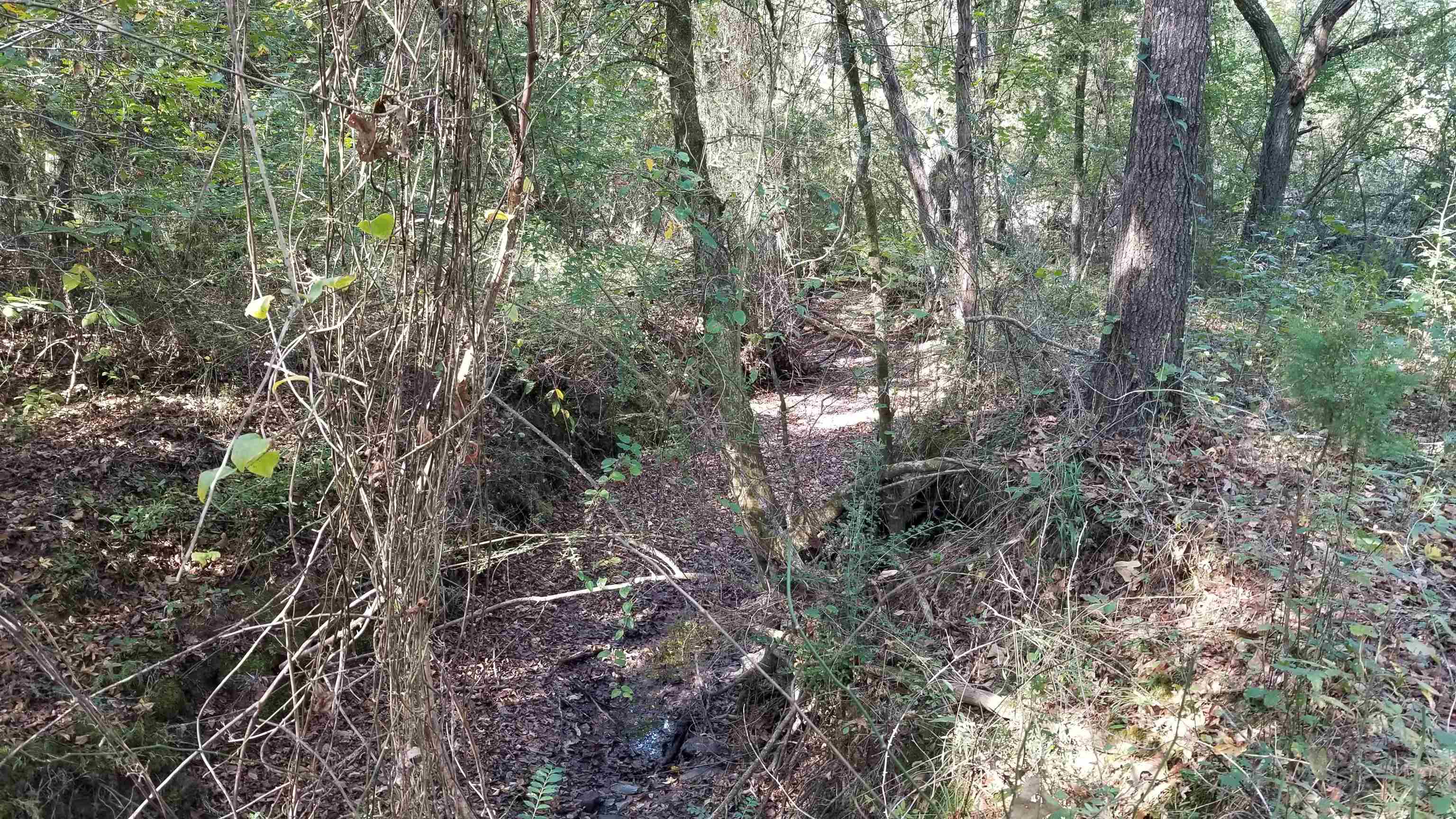 00  Land Road  Holland, AR