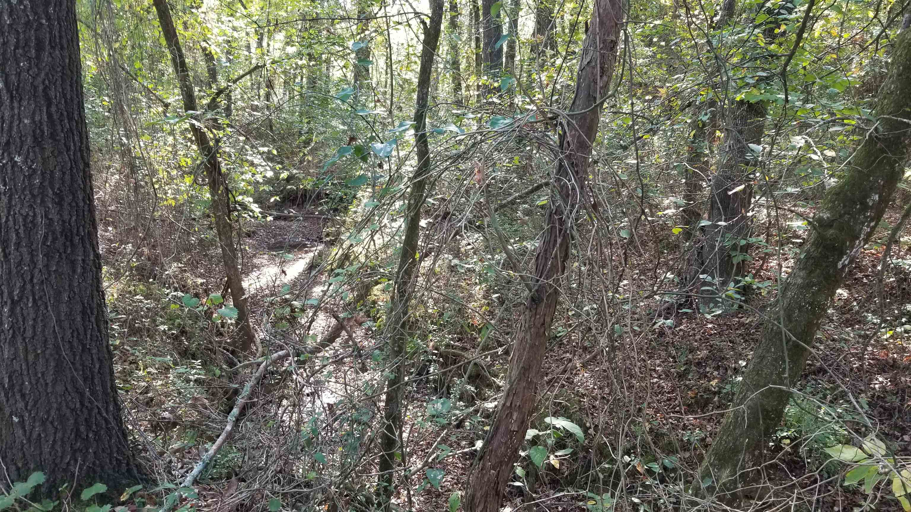 00  Land Road  Holland, AR