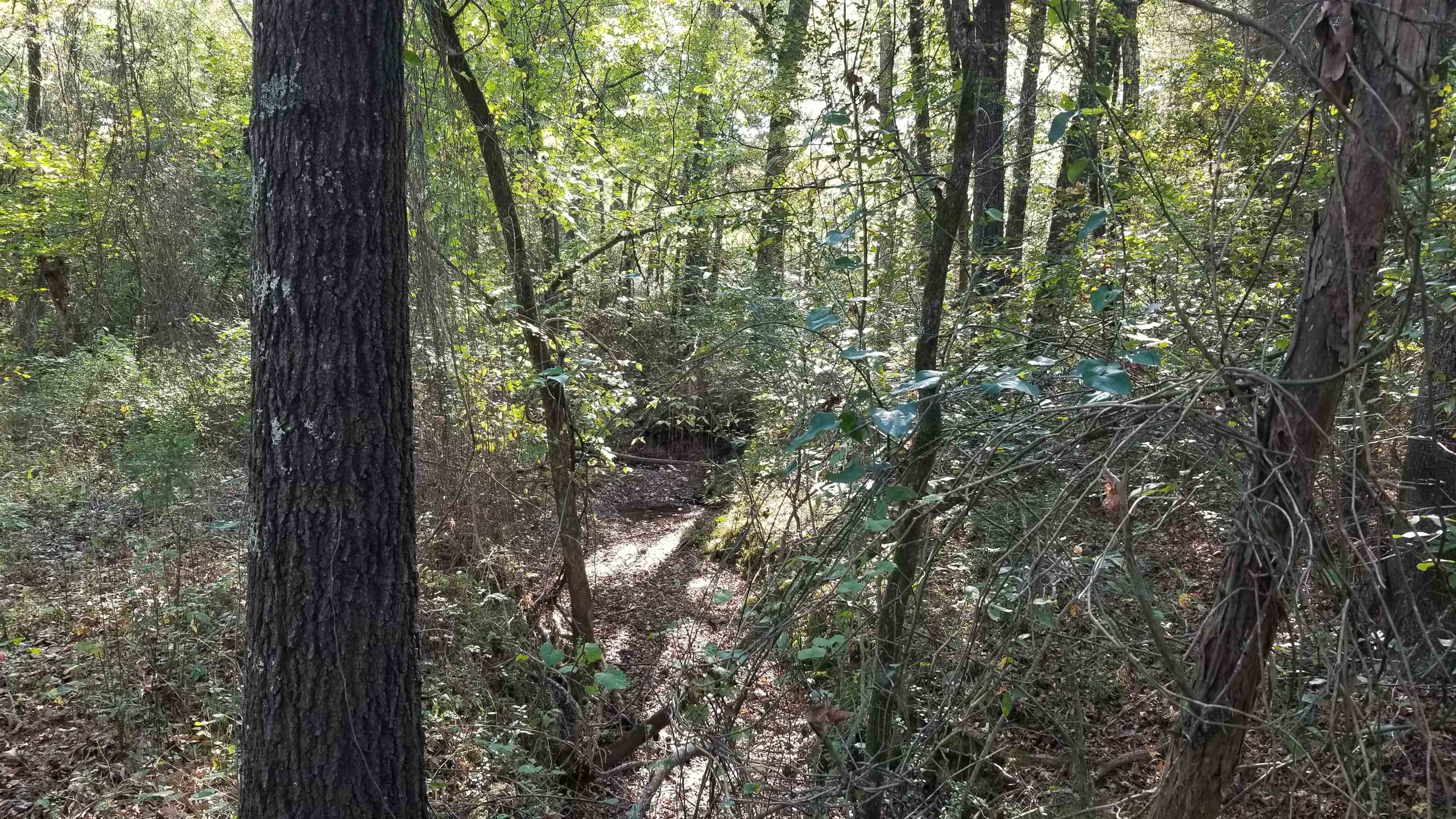 00  Land Road  Holland, AR