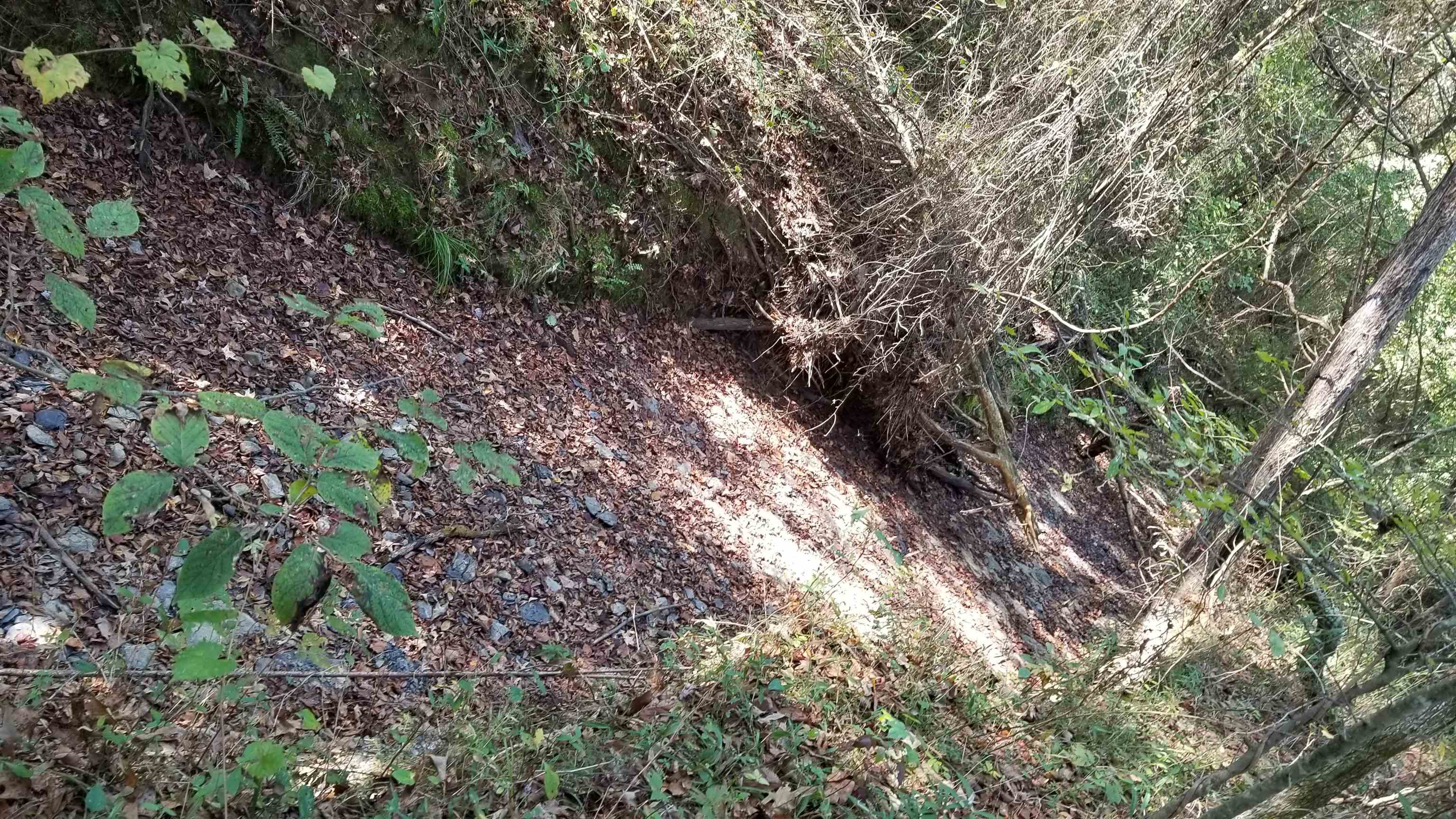 00  Land Road  Holland, AR