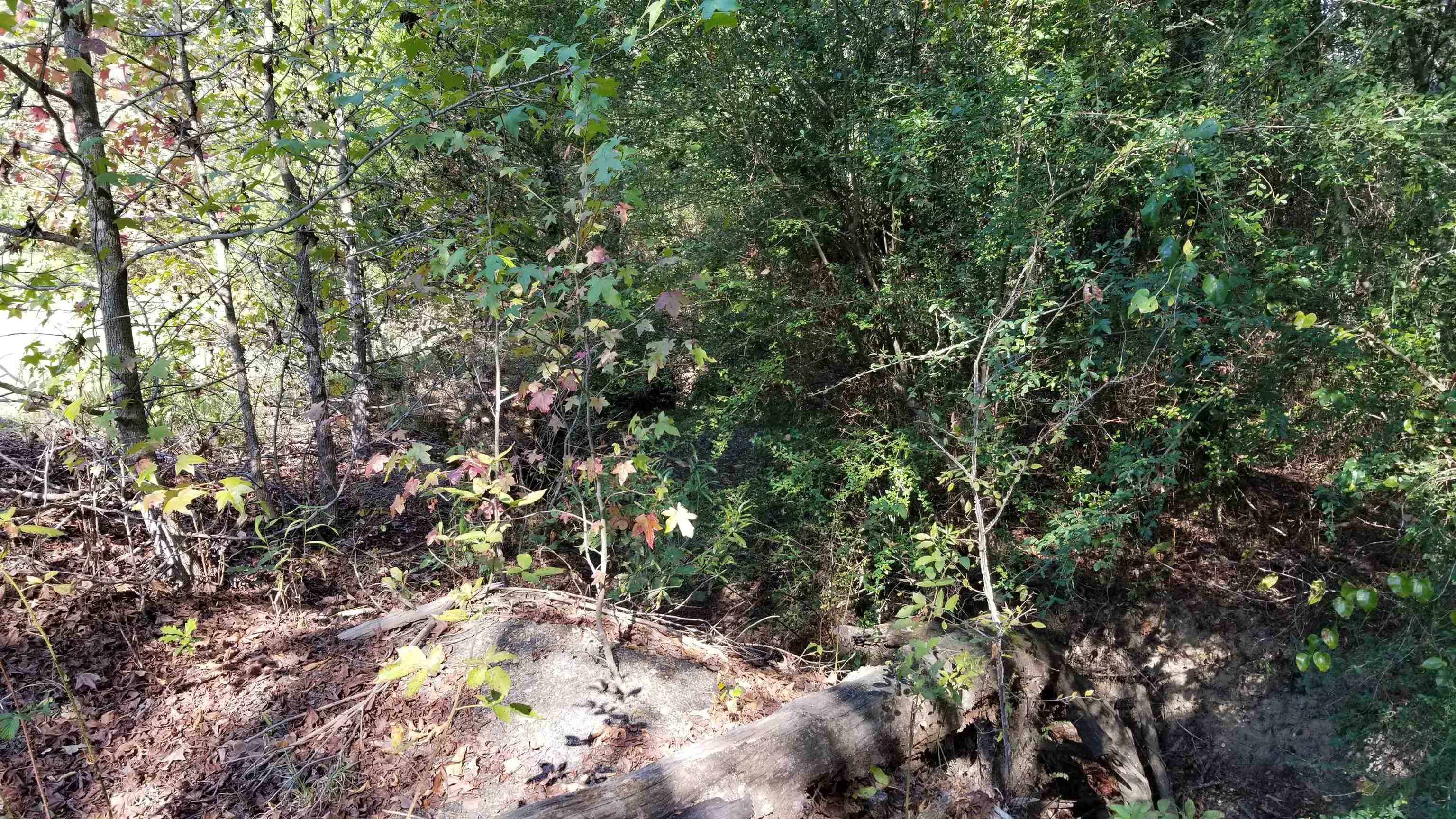 00  Land Road  Holland, AR