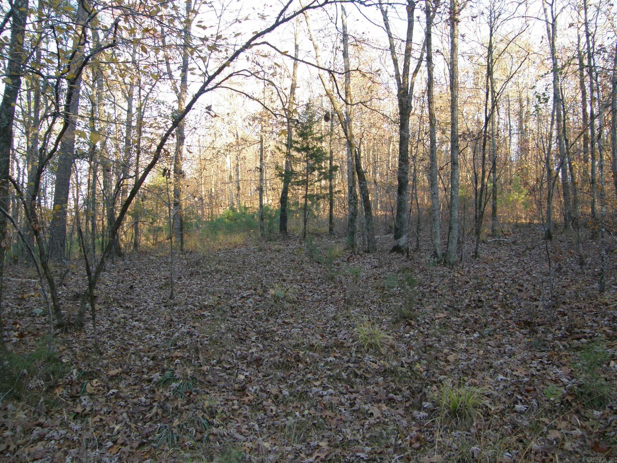 TBD  Polk Road 64  Mena, AR