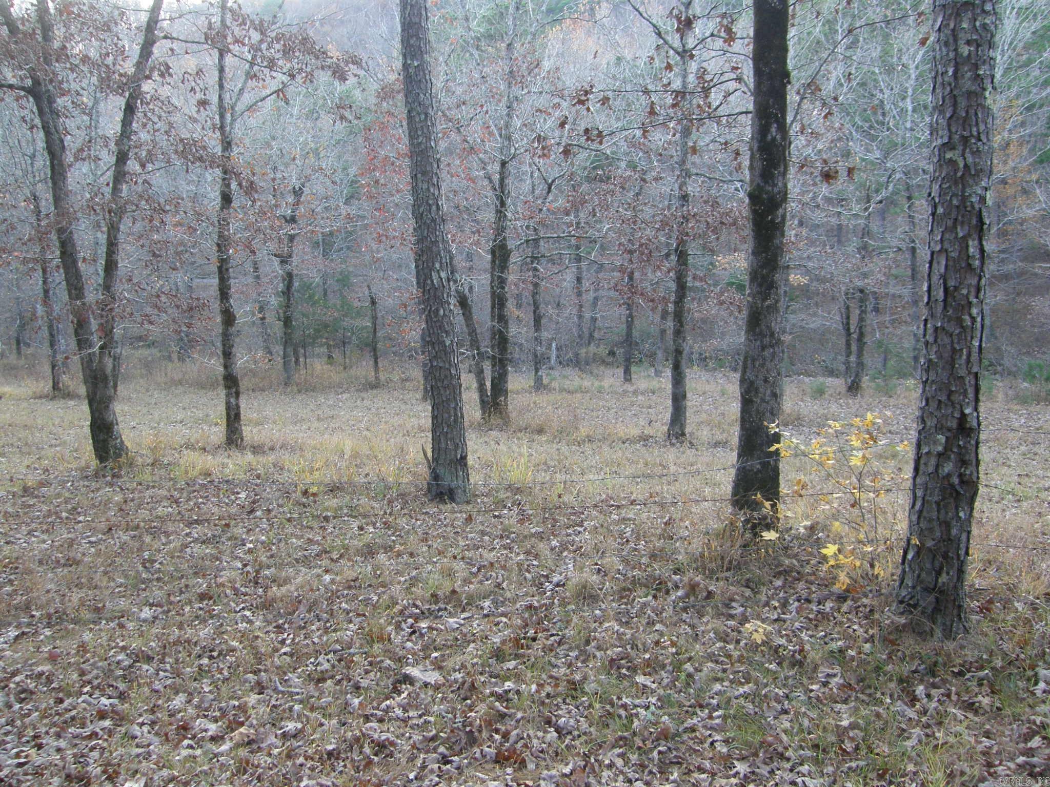 TBD  Polk Road 64  Mena, AR