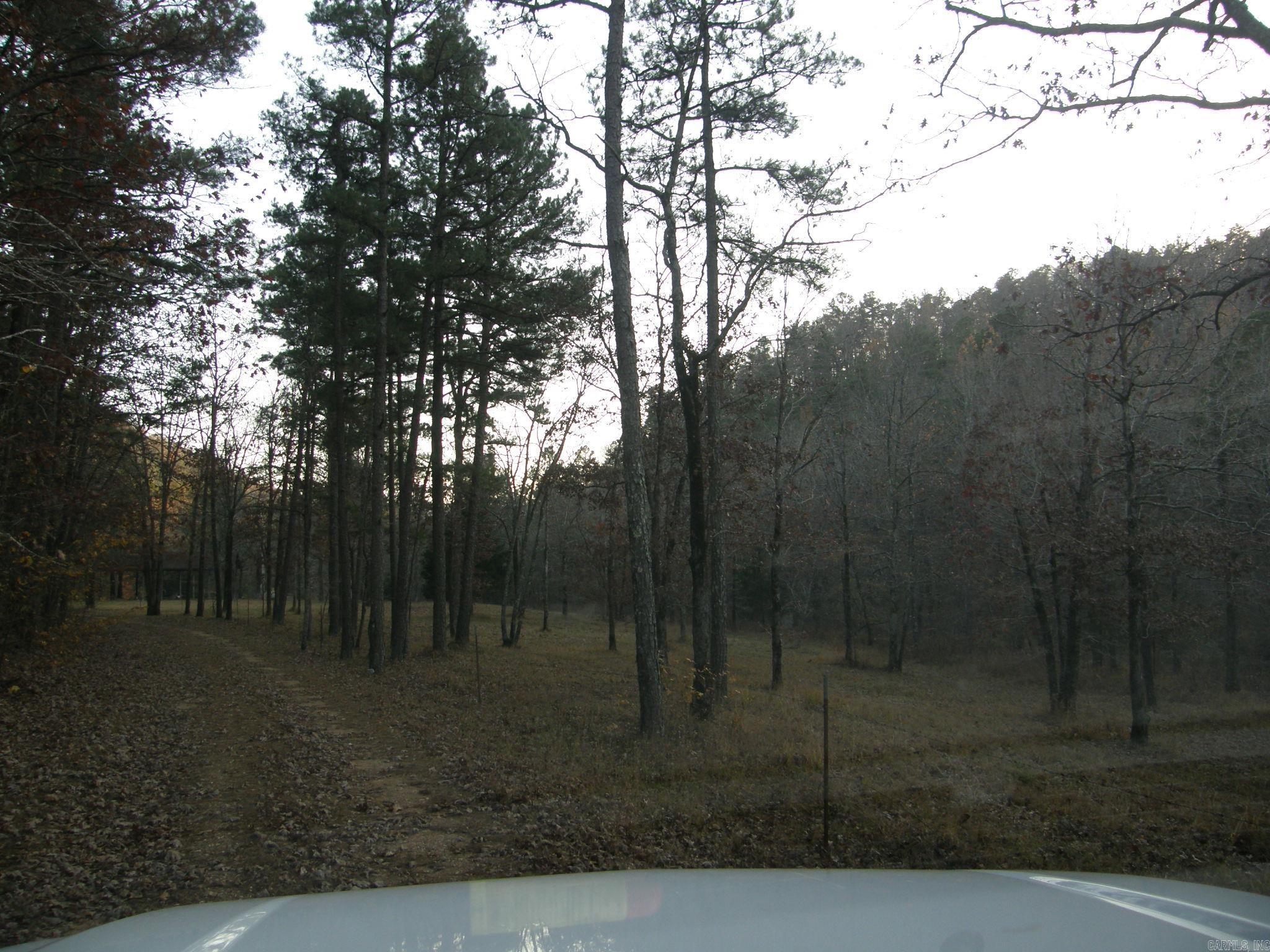 TBD  Polk Road 64  Mena, AR