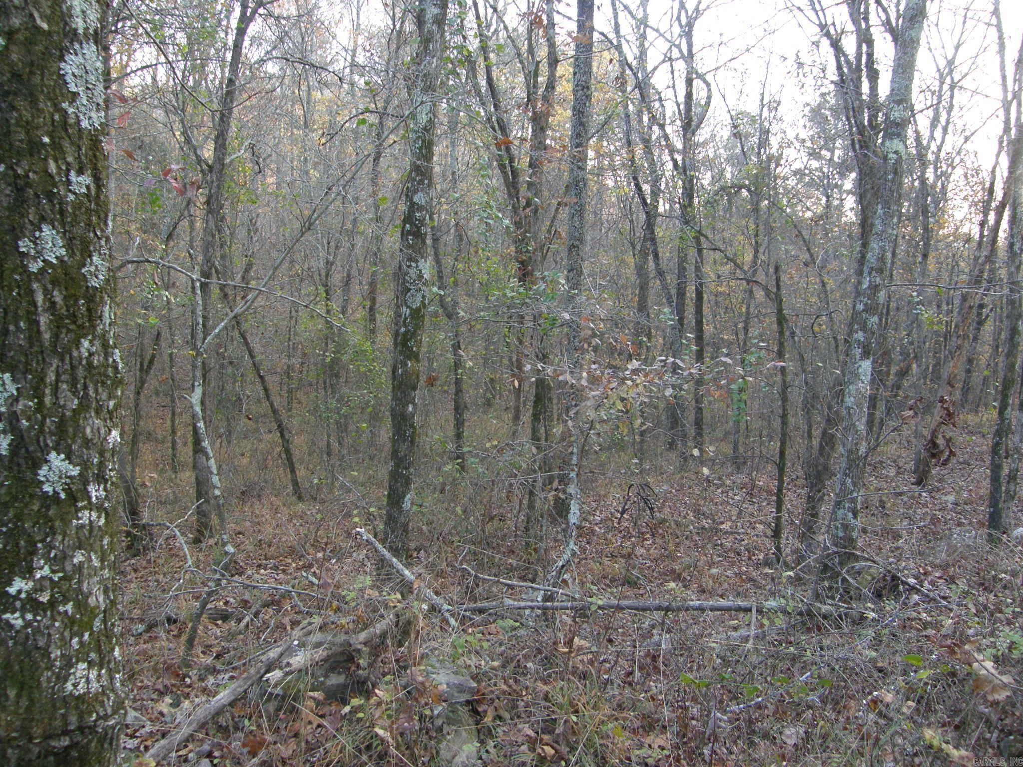 TBD  Polk Road 64  Mena, AR