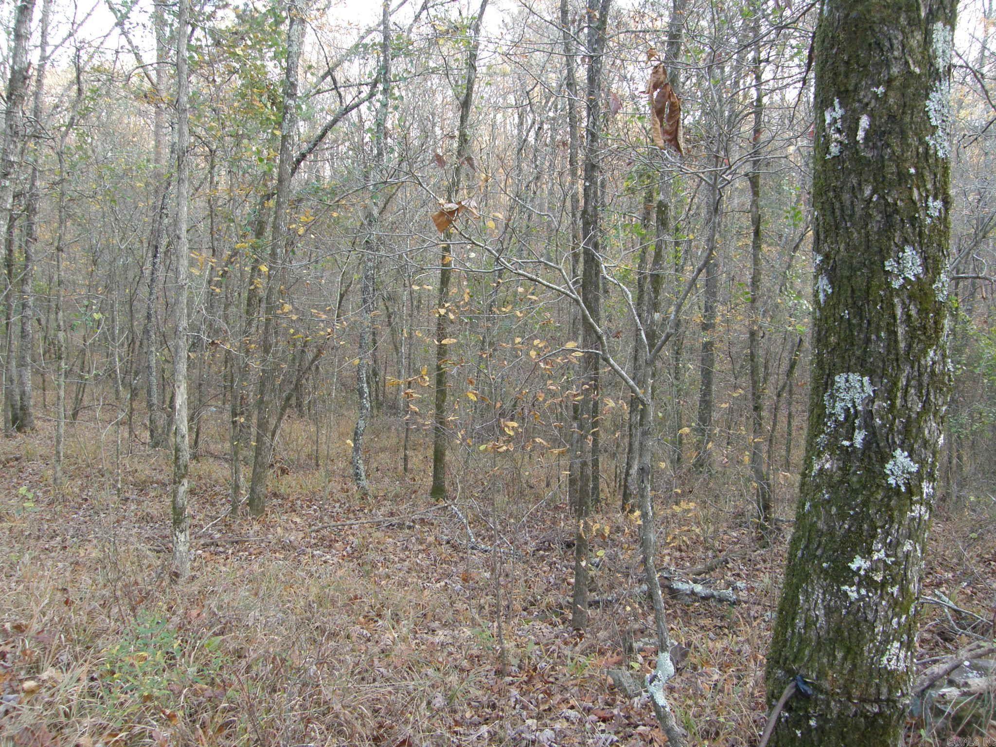 TBD  Polk Road 64  Mena, AR